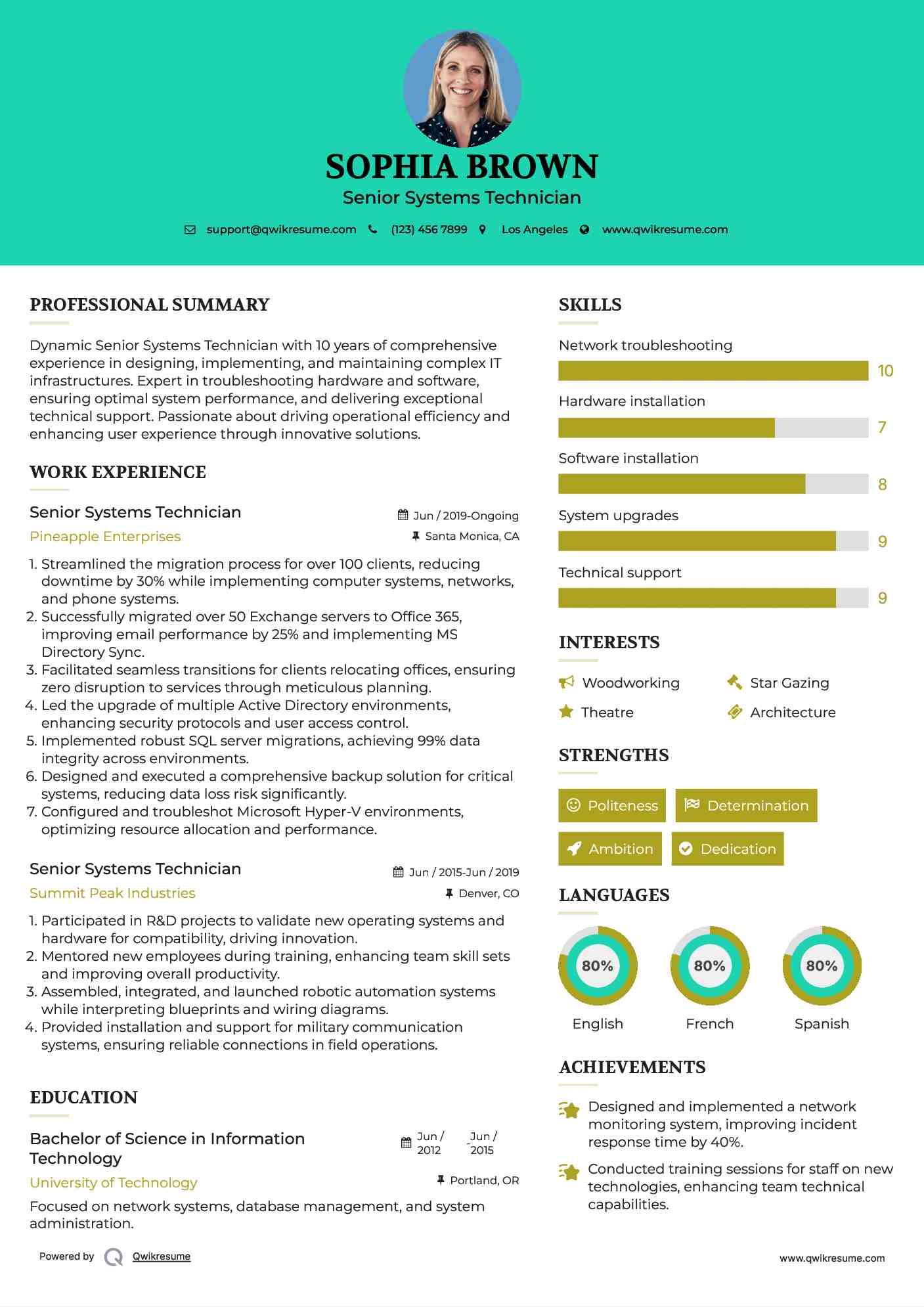 Senior Systems Technician Resume Template