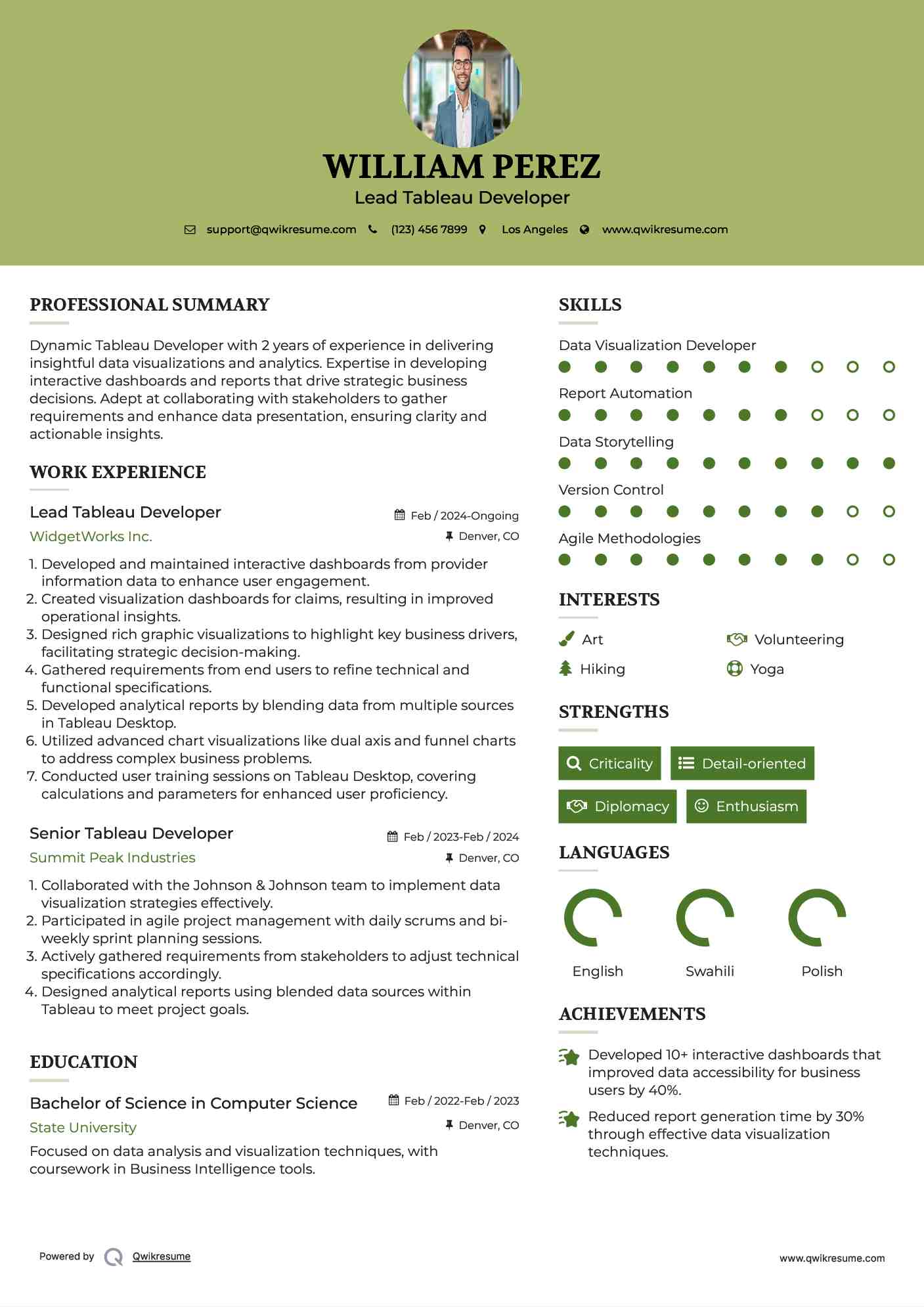 Lead Tableau Developer Resume Template