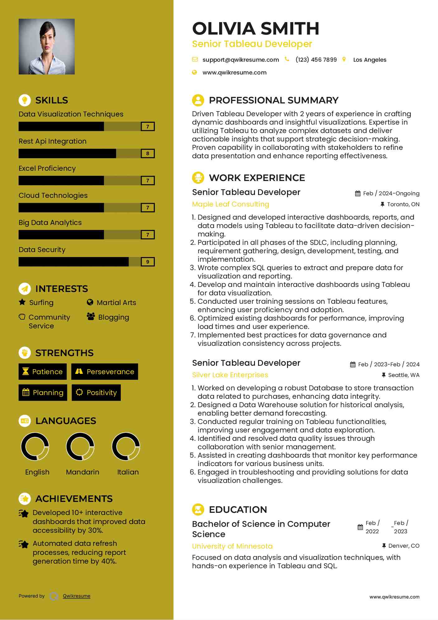 Senior Tableau Developer Resume Template