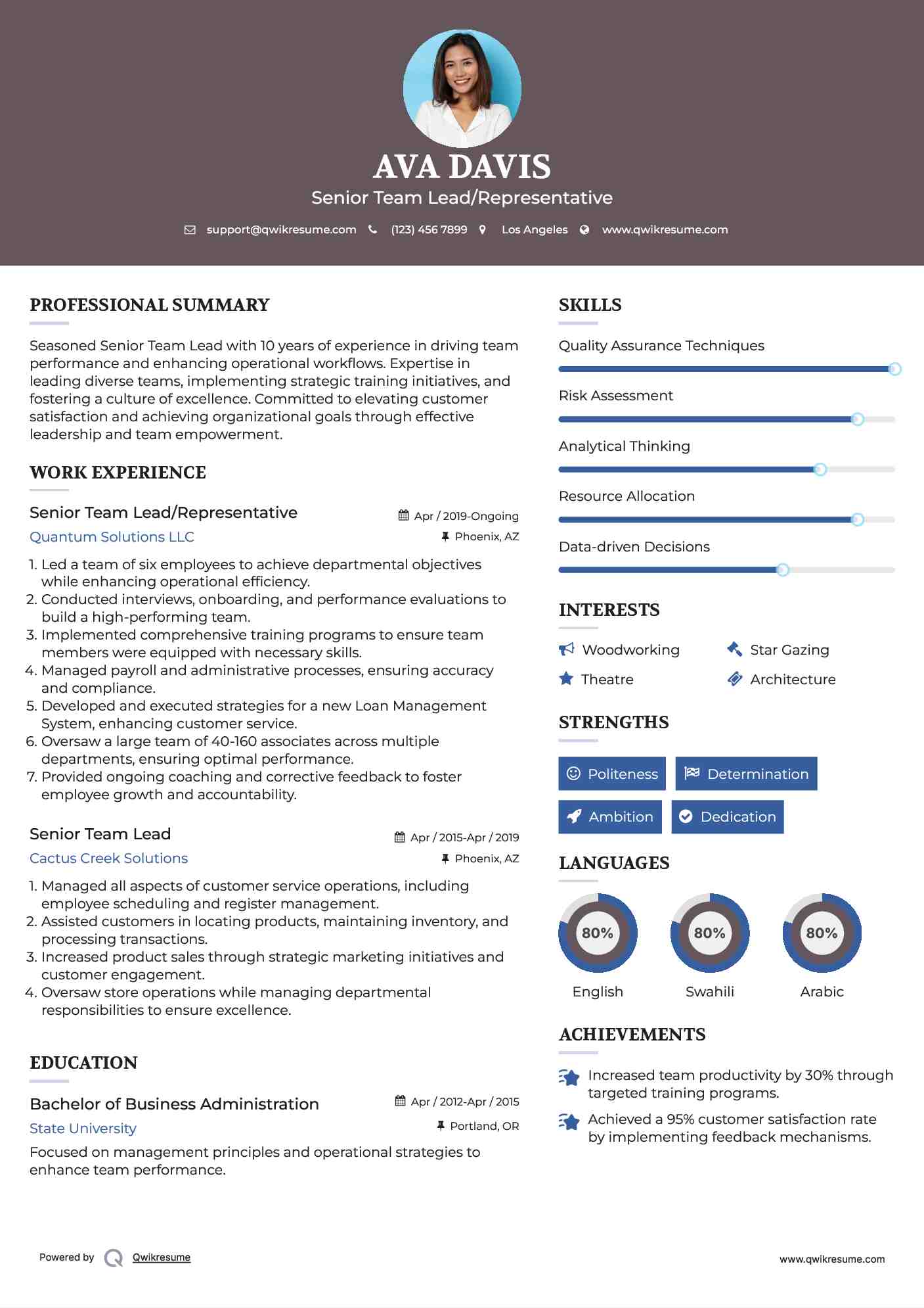 Senior Team Lead/Representative Resume Format