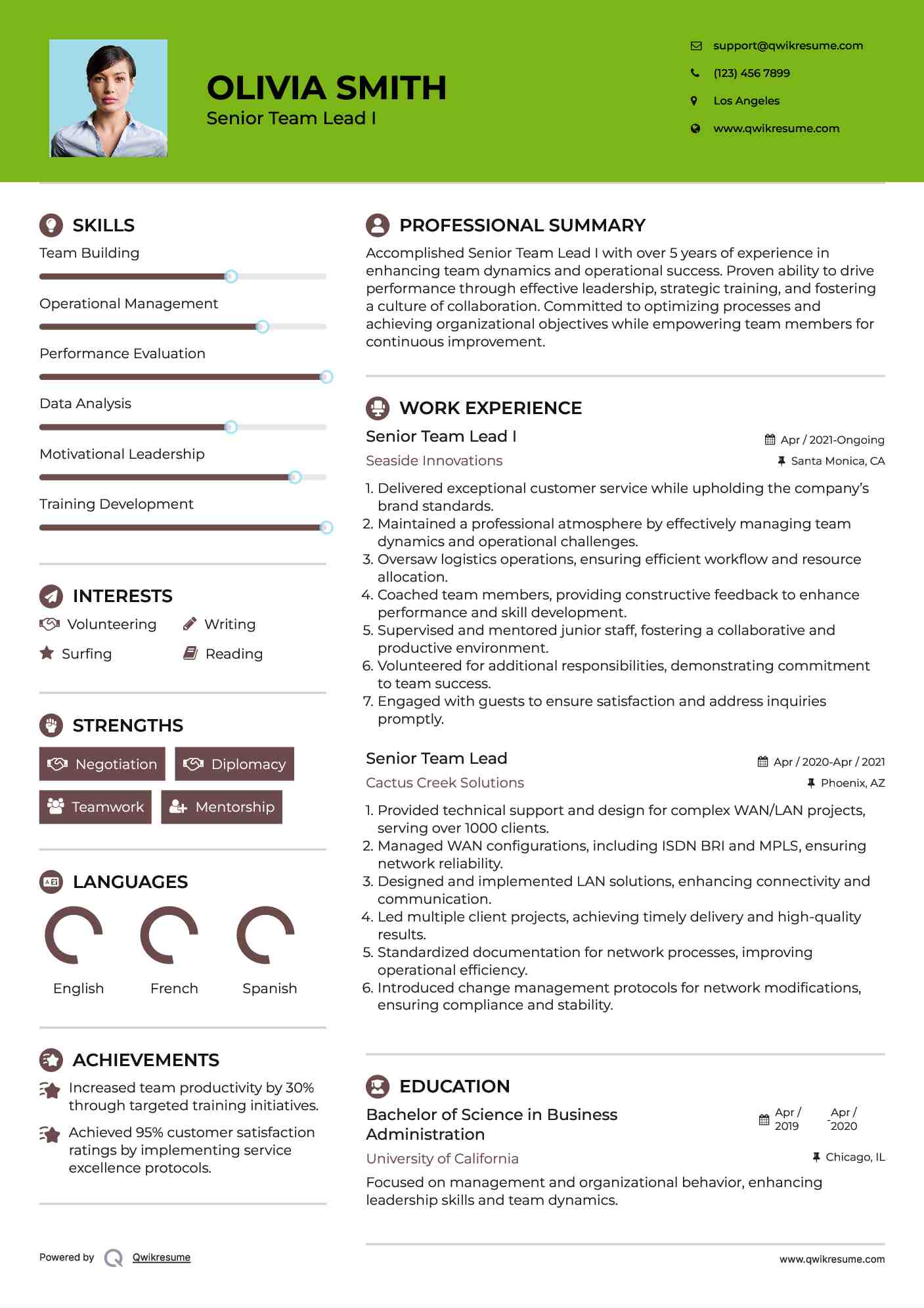 Senior Team Lead I Resume Example