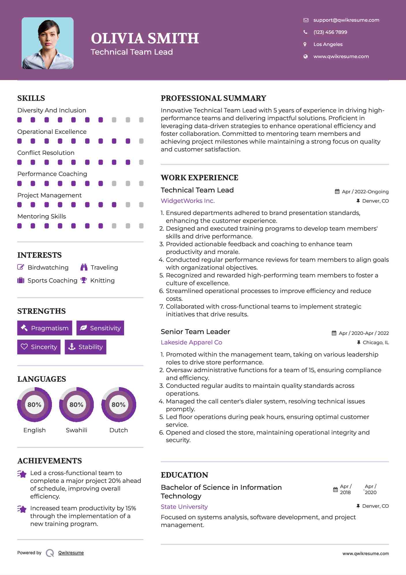 Technical Team Lead Resume Model