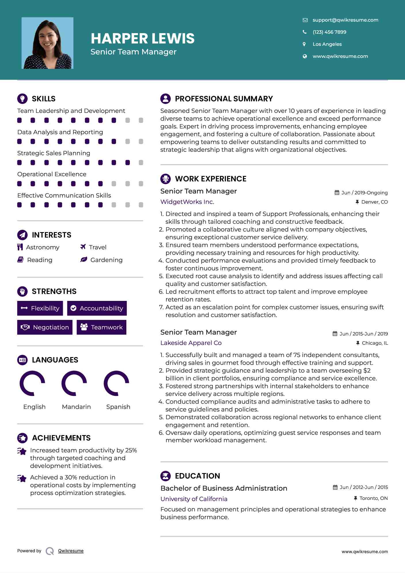Senior Team Manager Resume Sample