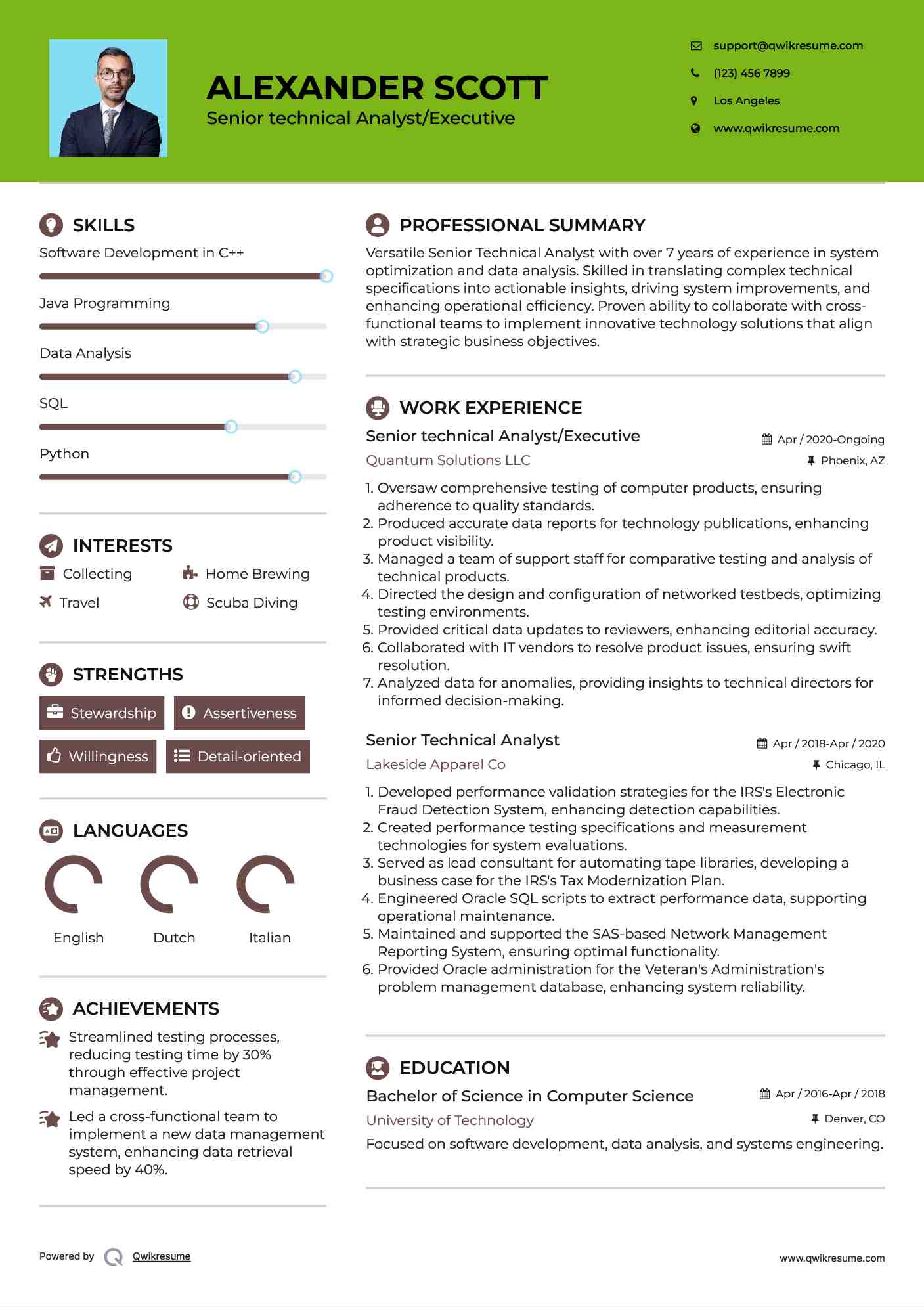 Senior technical Analyst/Executive Resume Template