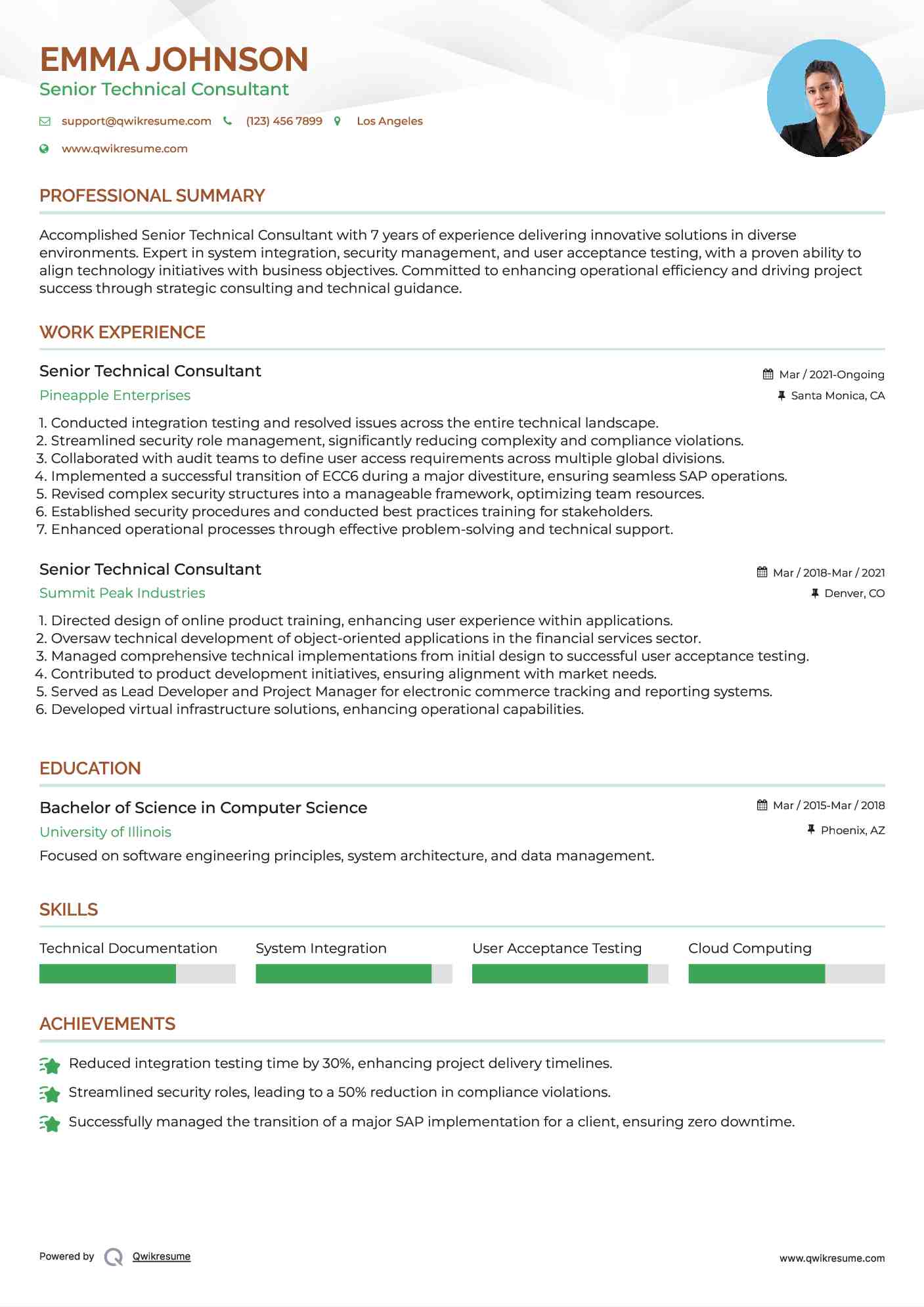 Senior Technical Consultant Resume Sample