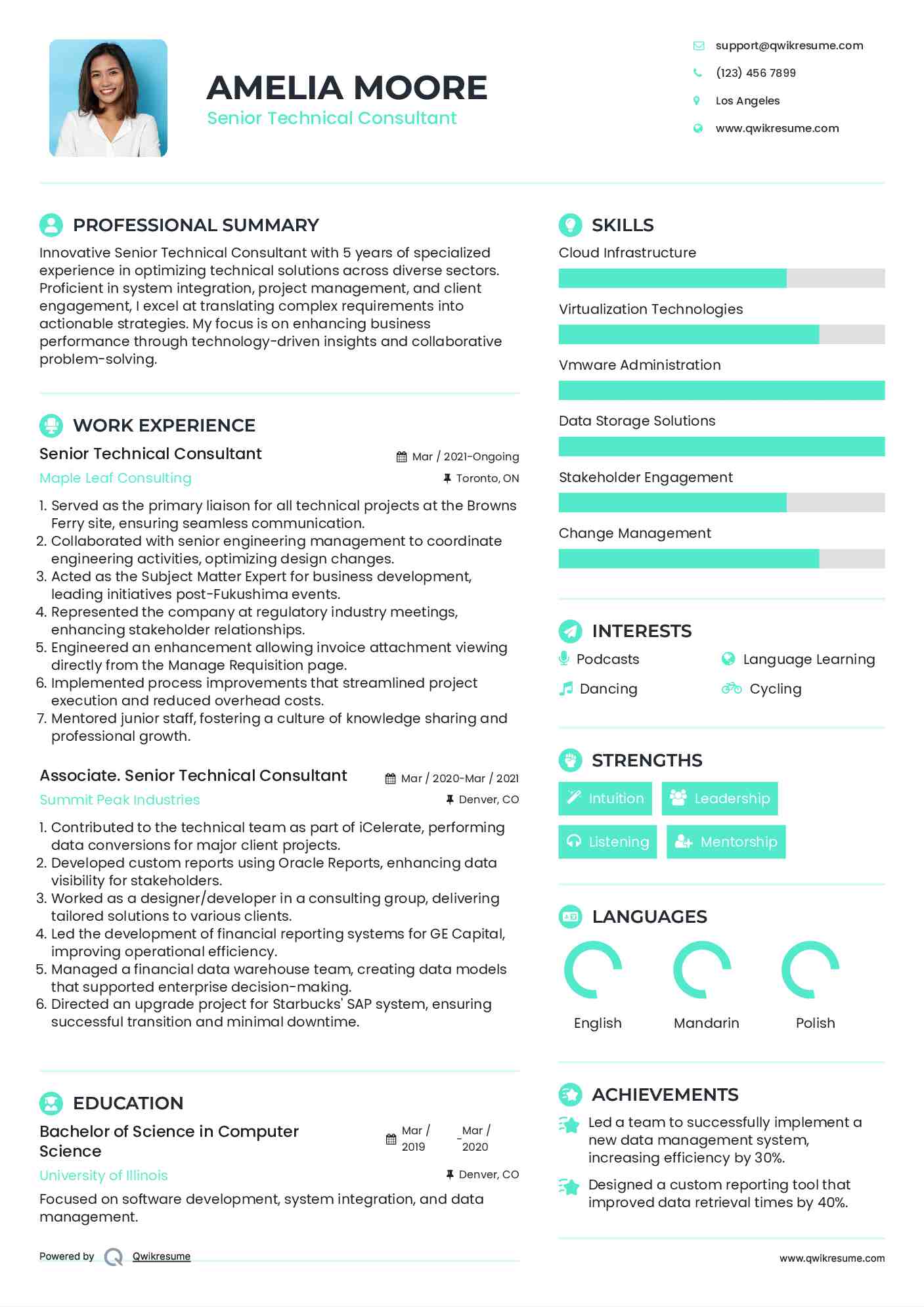 Senior Technical Consultant Resume Sample
