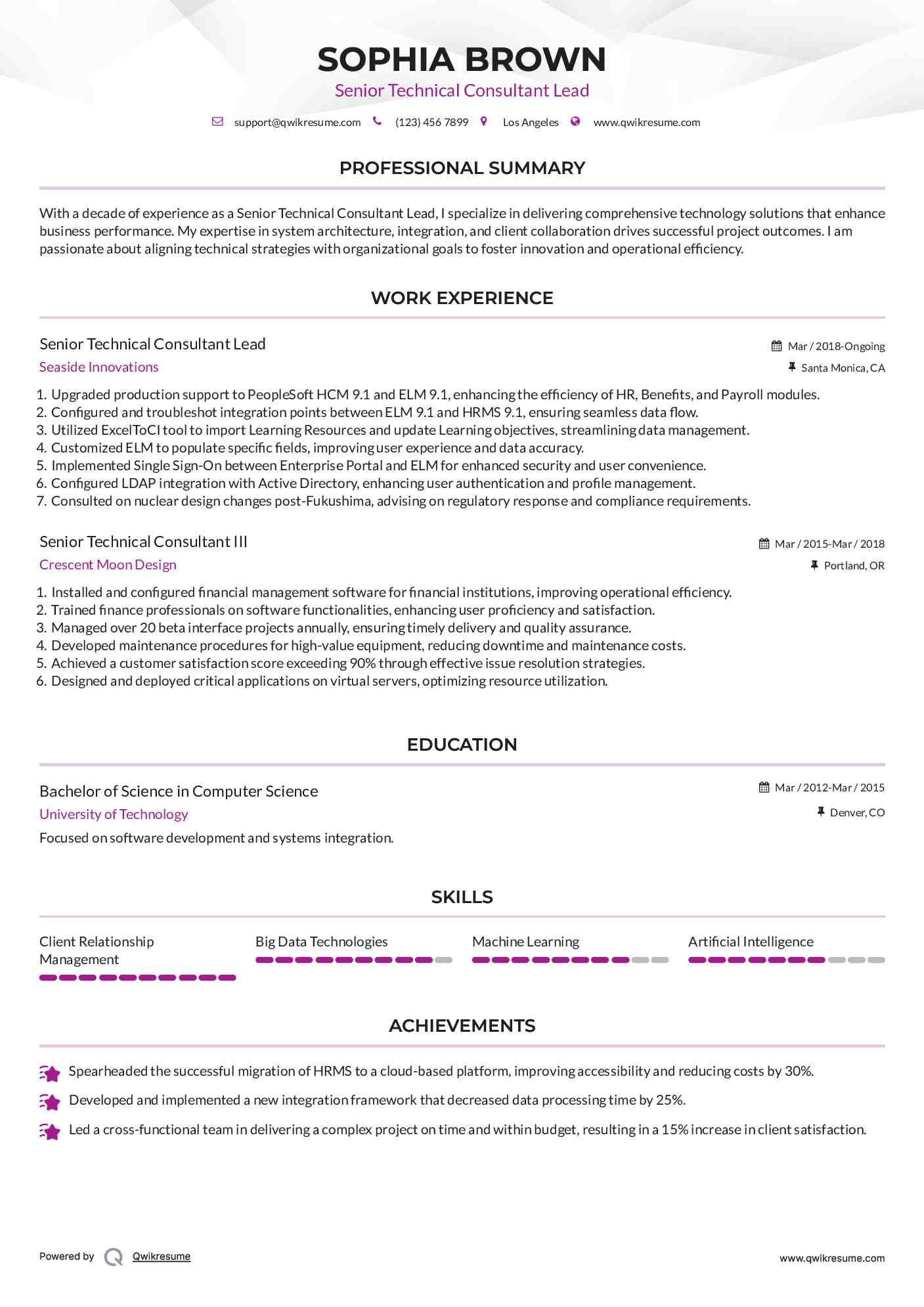 Senior Technical Consultant Lead Resume Example