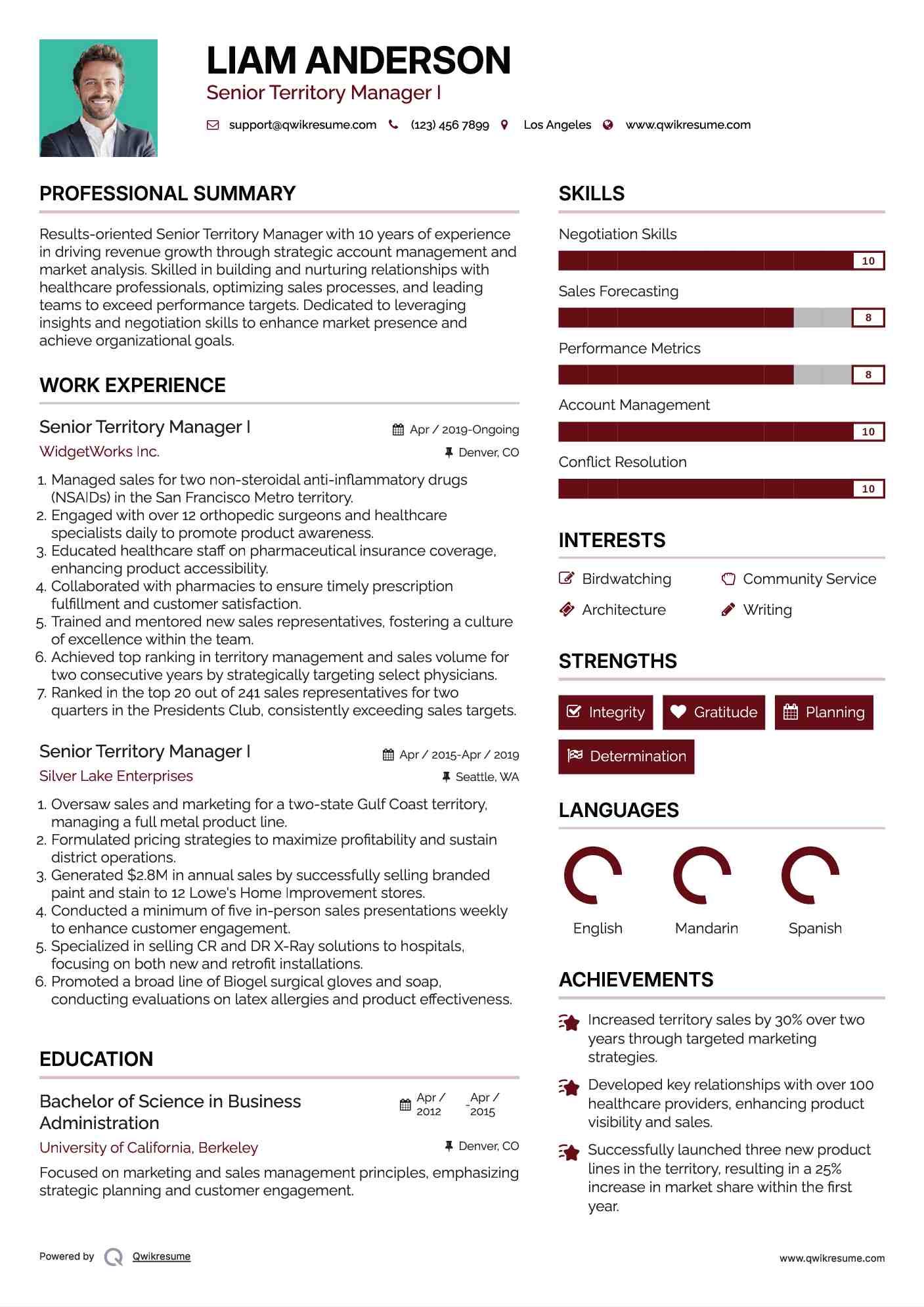 Senior Territory Manager  I Resume Example