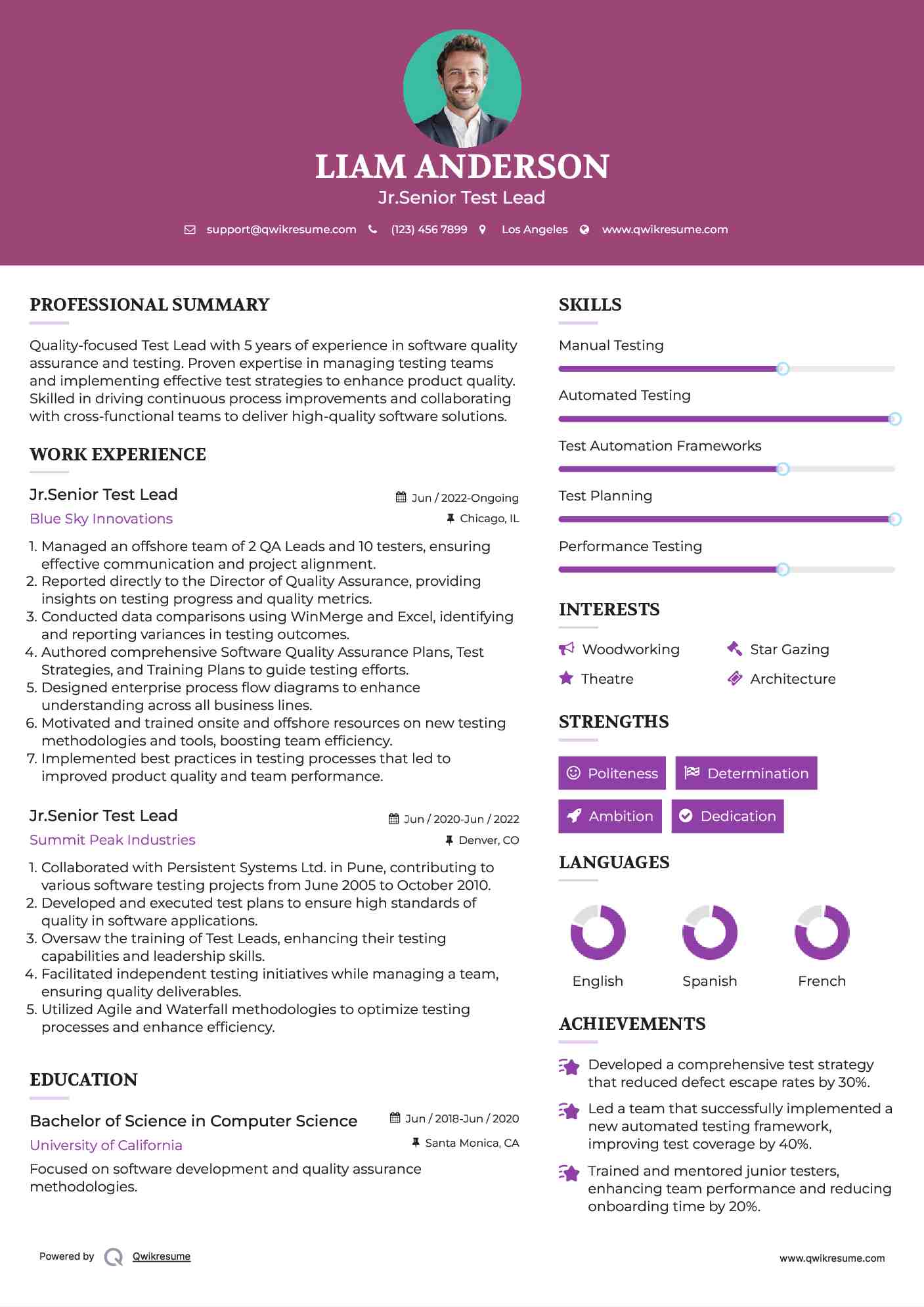 Jr.Senior Test Lead Resume Example