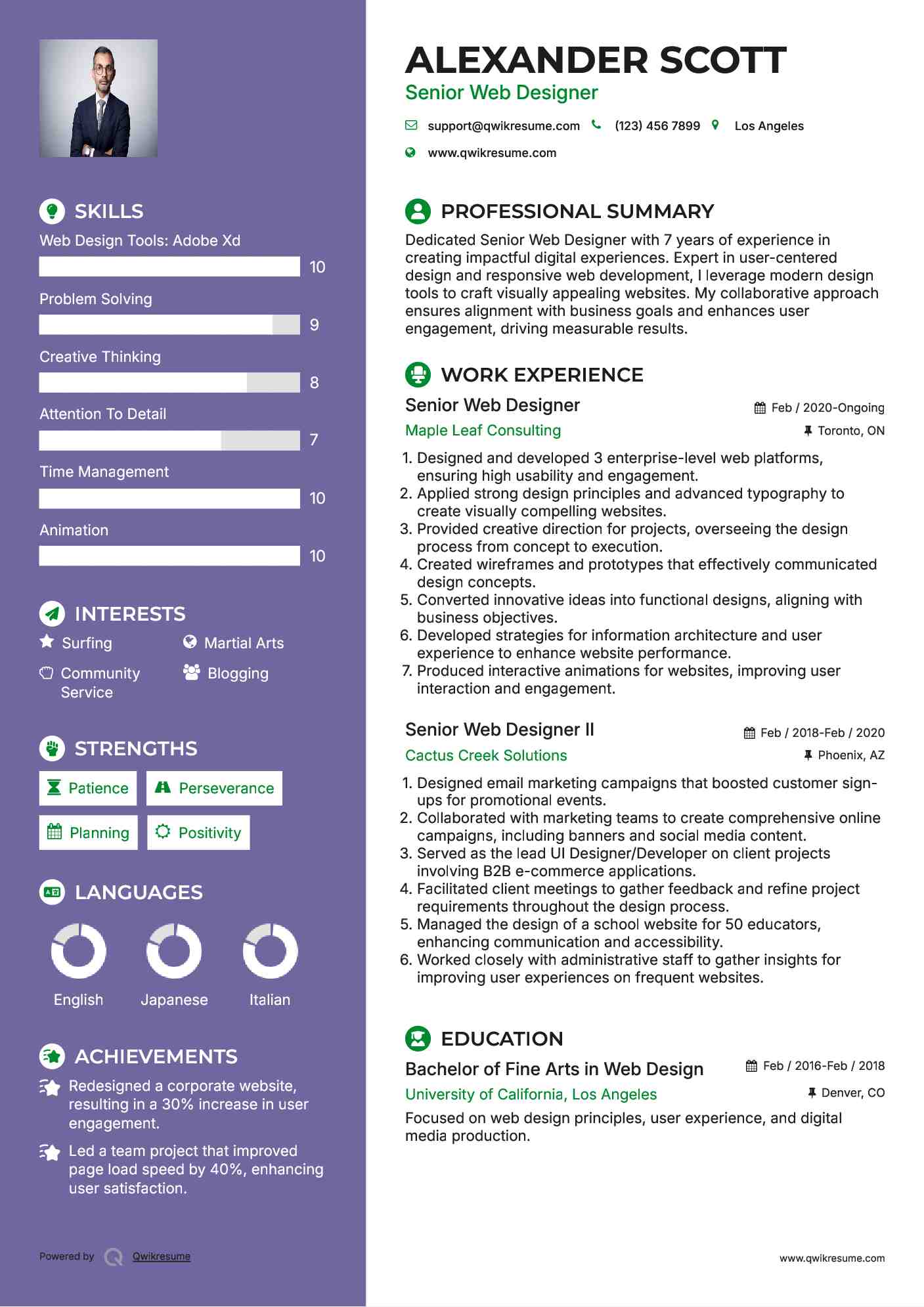 Senior Web Designer Resume Model
