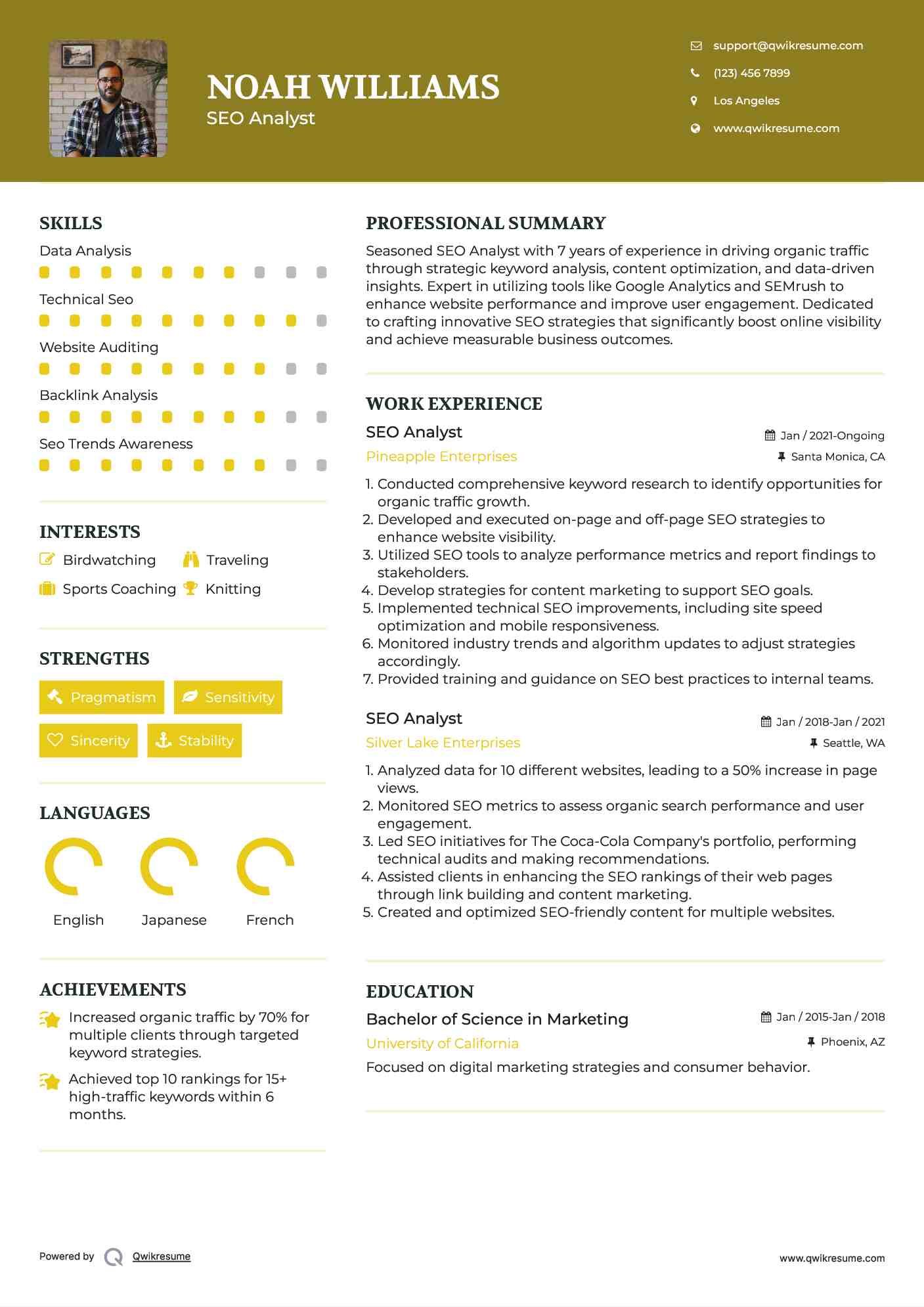 SEO Analyst Resume Sample