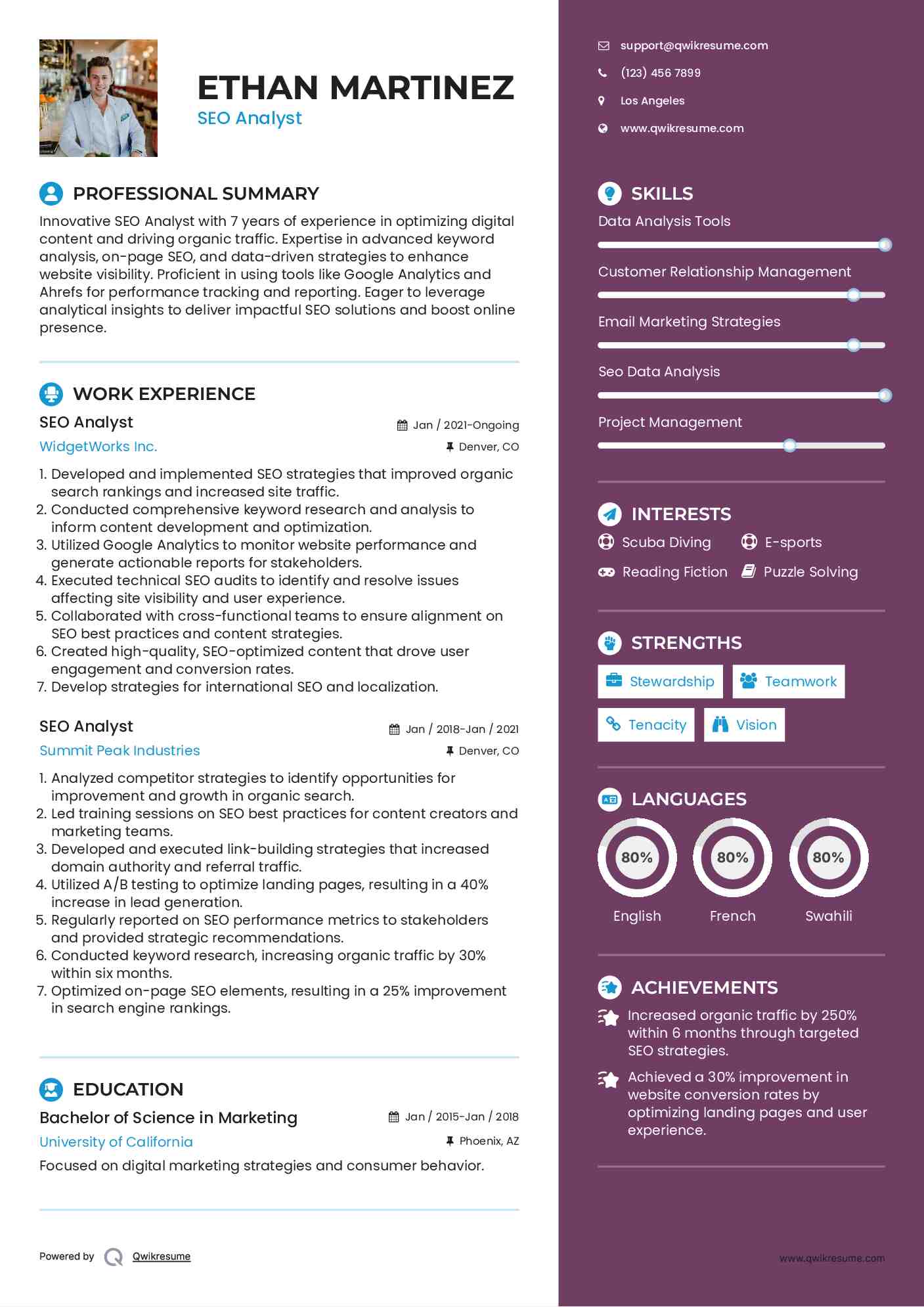 SEO Analyst Resume Example
