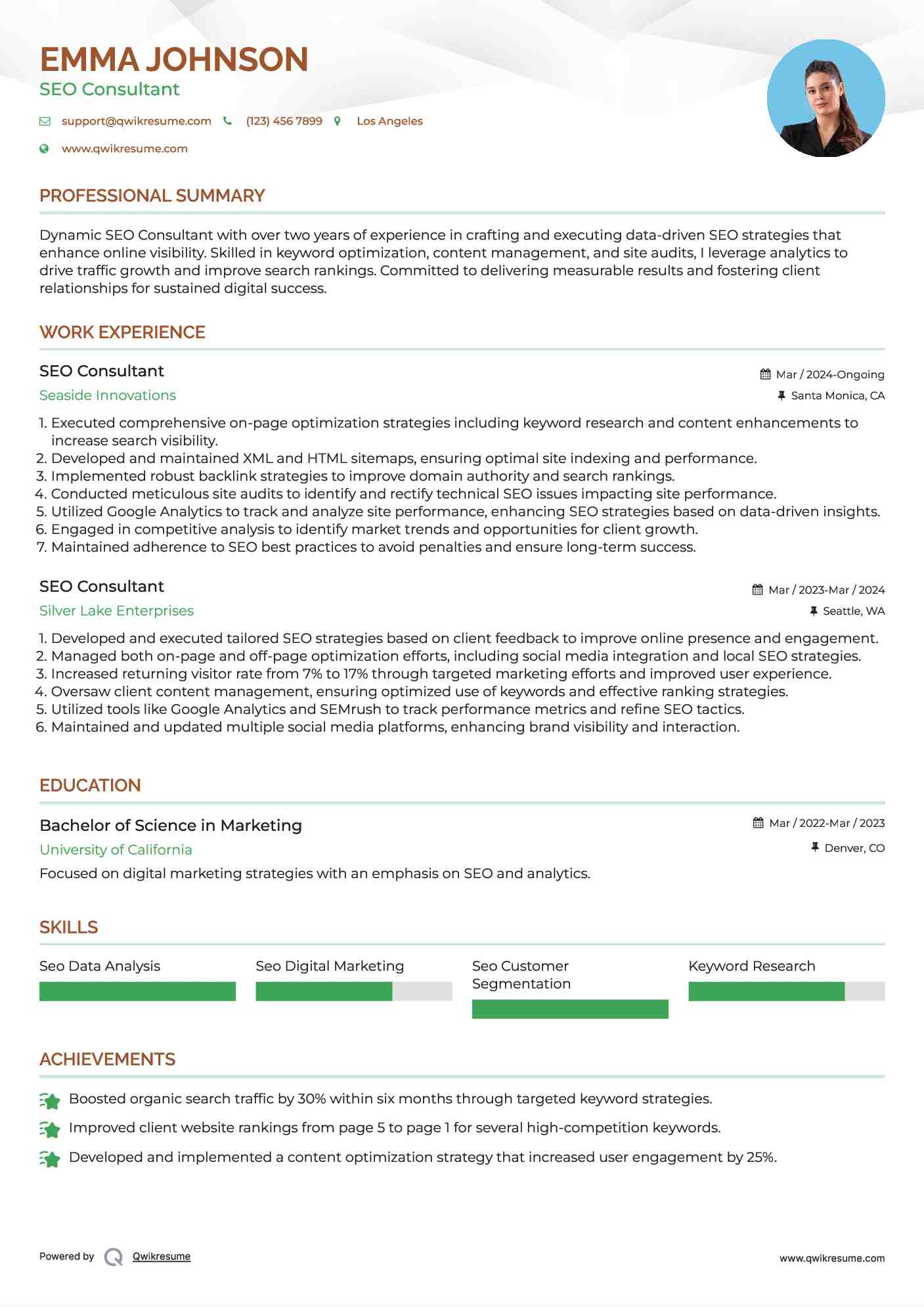 SEO Consultant Resume Format