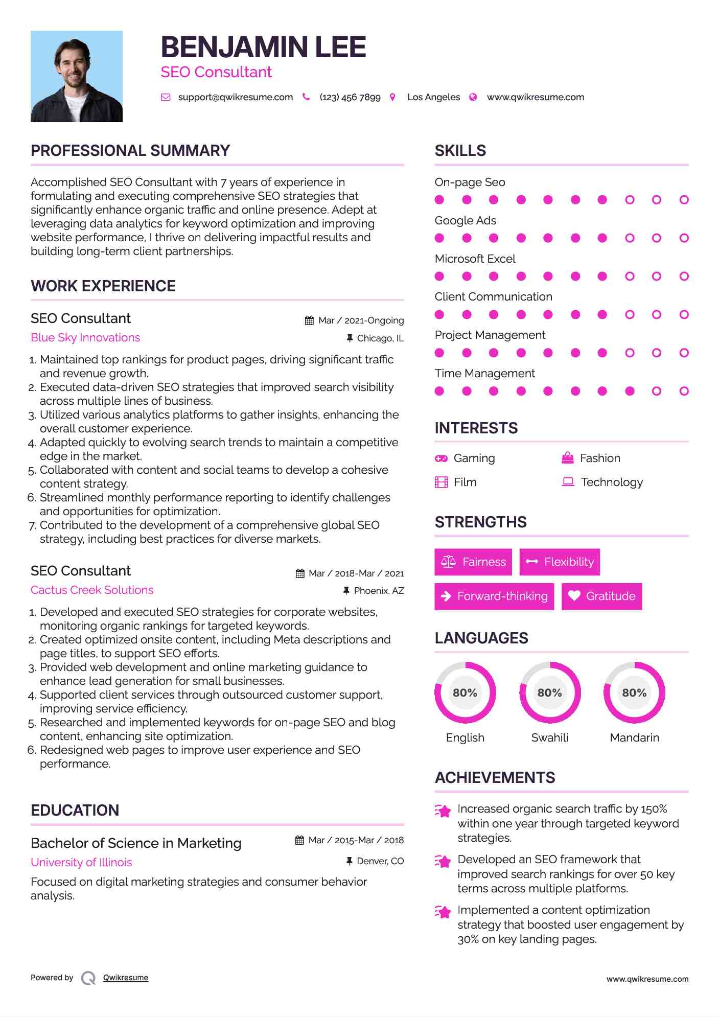 SEO Consultant Resume Format