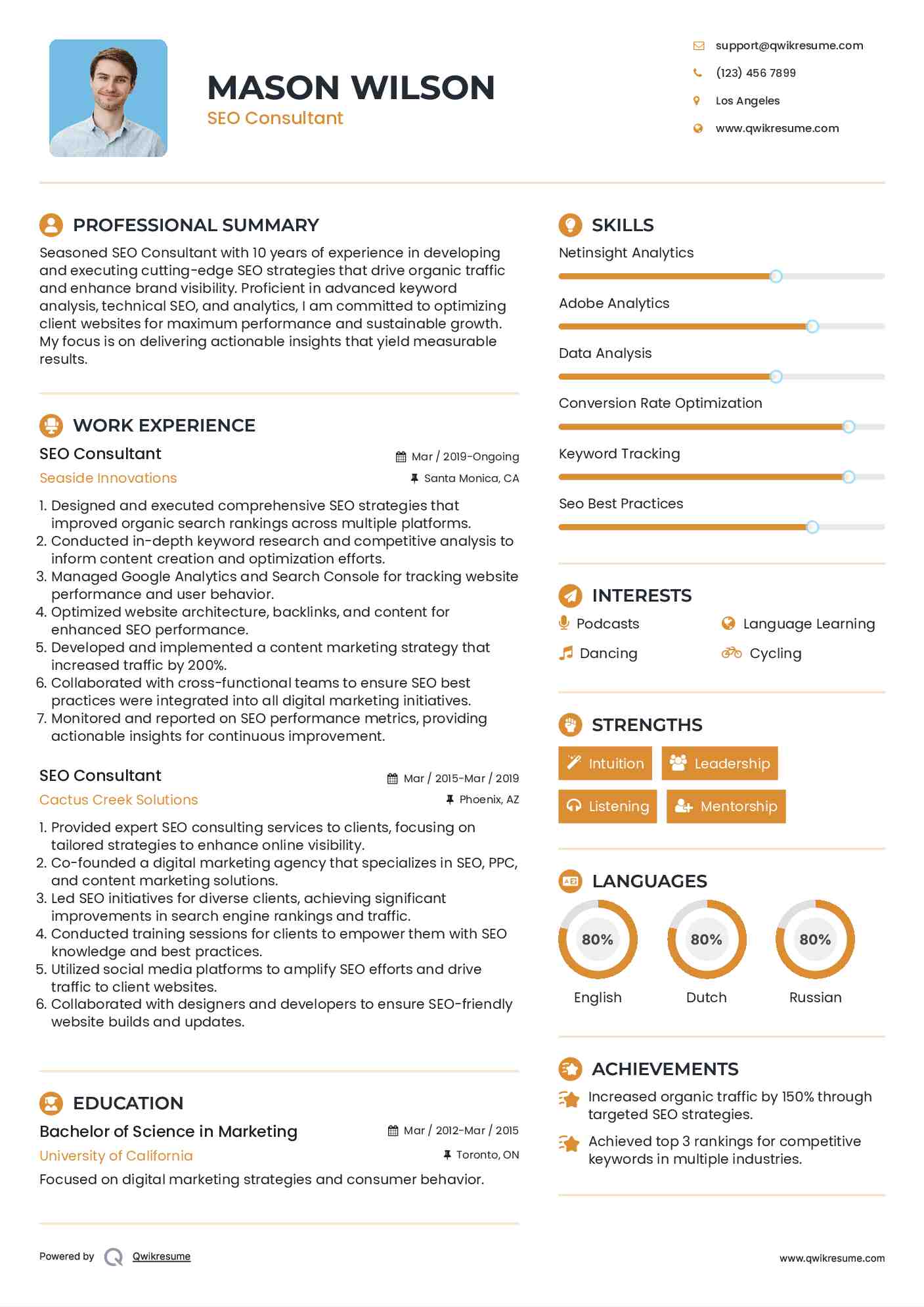 SEO Consultant Resume Sample