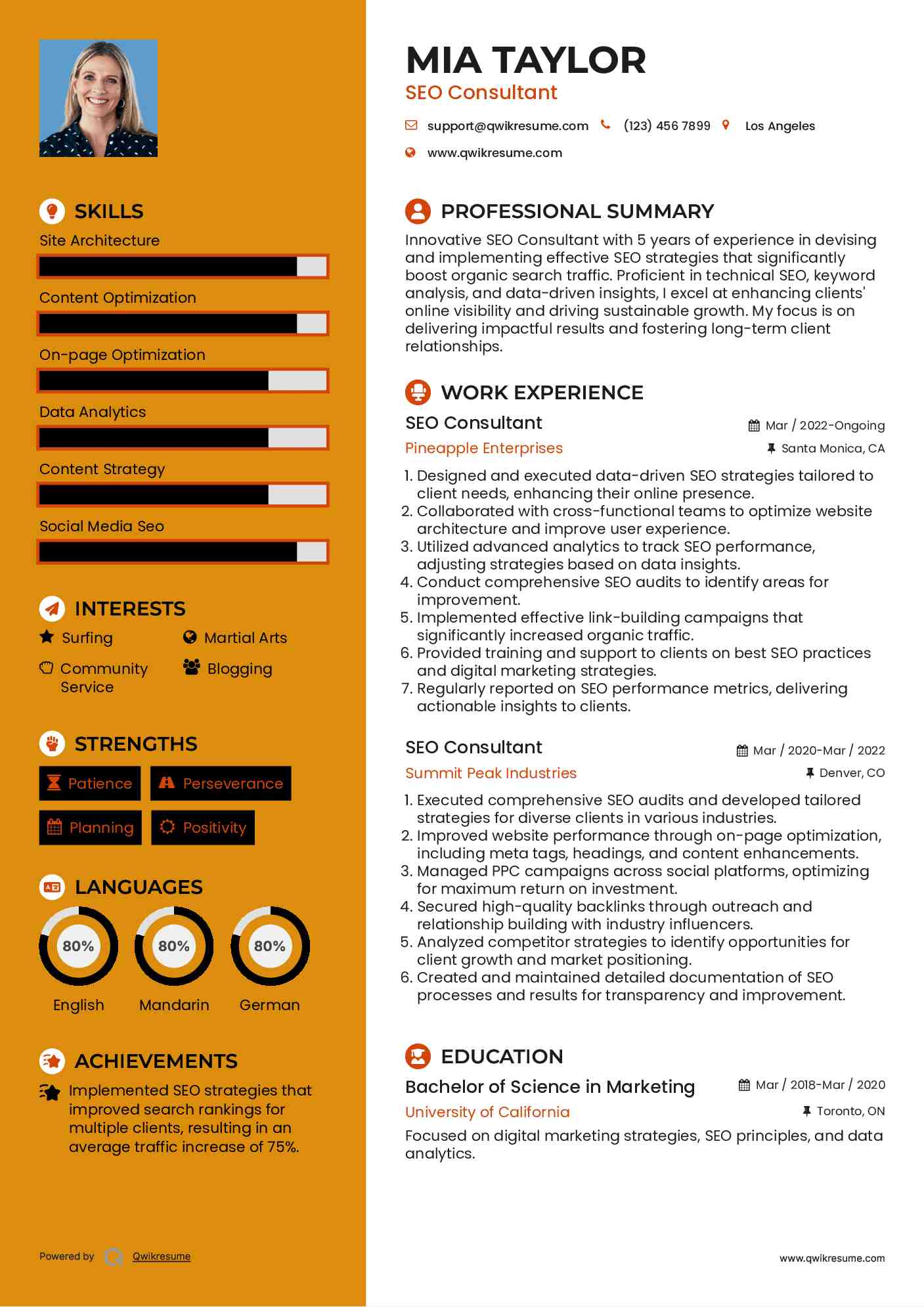 SEO Consultant Resume Model