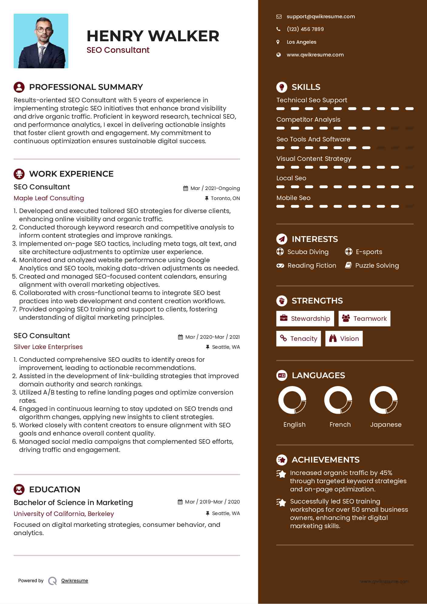 SEO Consultant Resume Example