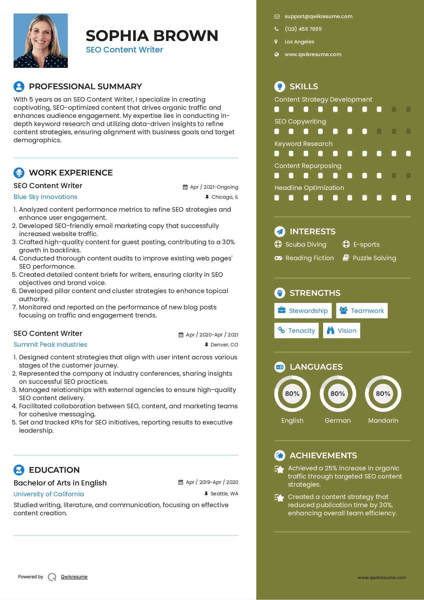 SEO Content Writer Resume Model