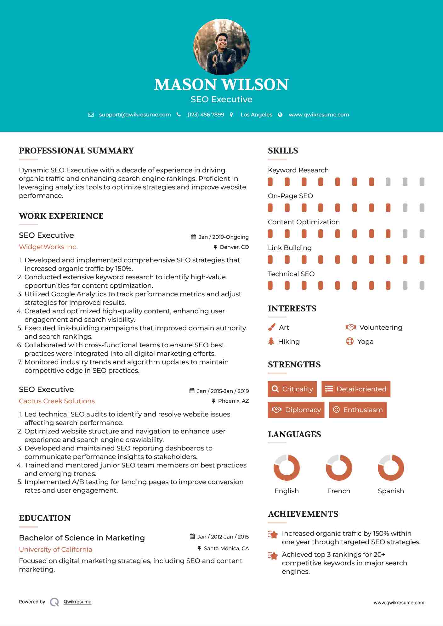 SEO Executive Resume Example
