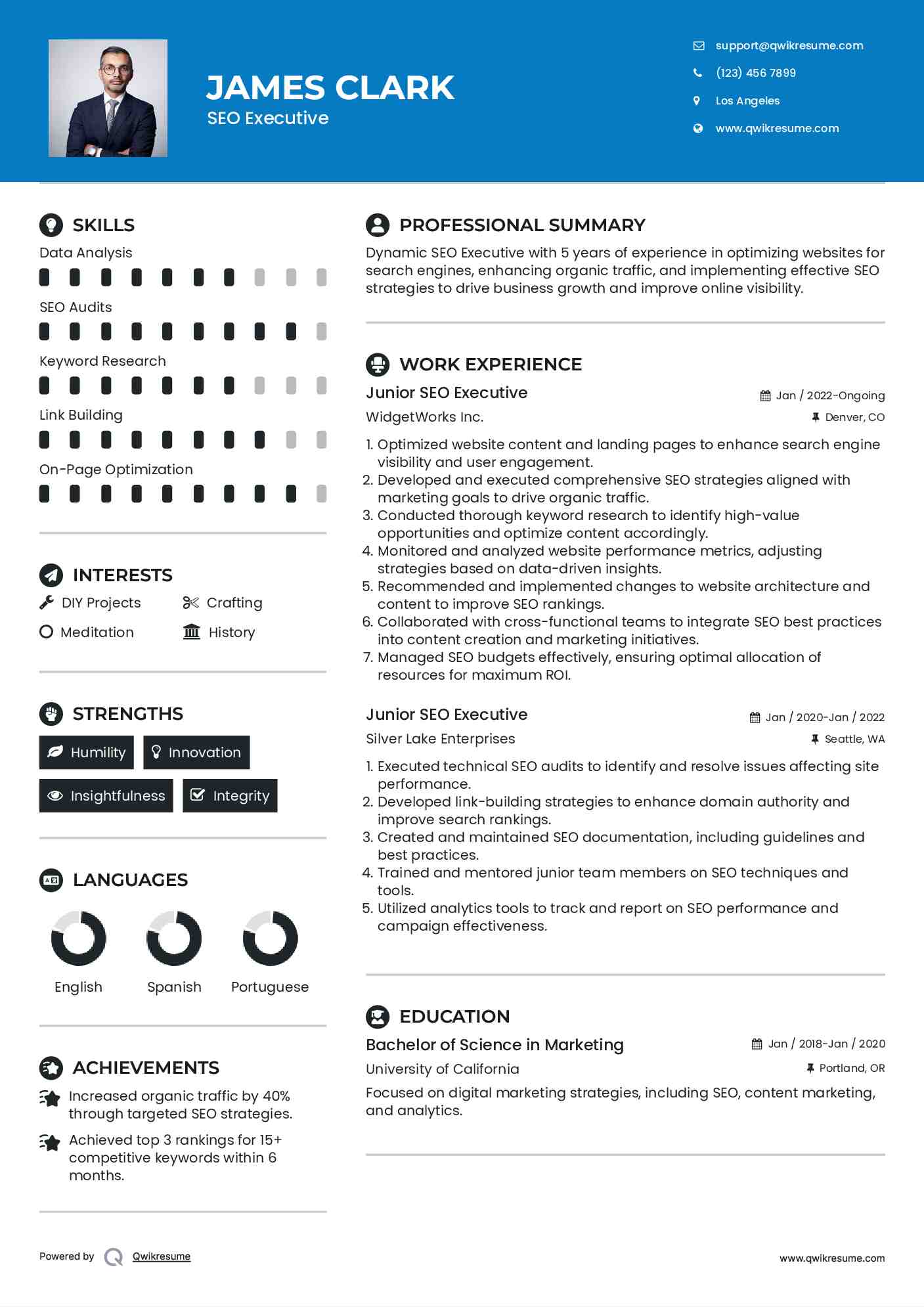 Junior SEO Executive Resume Sample