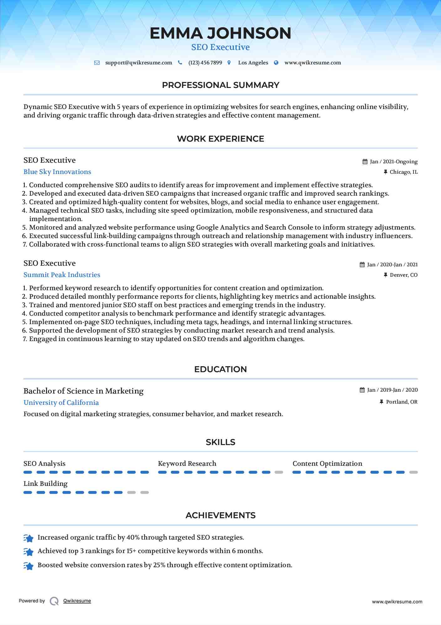 SEO Executive Resume Template