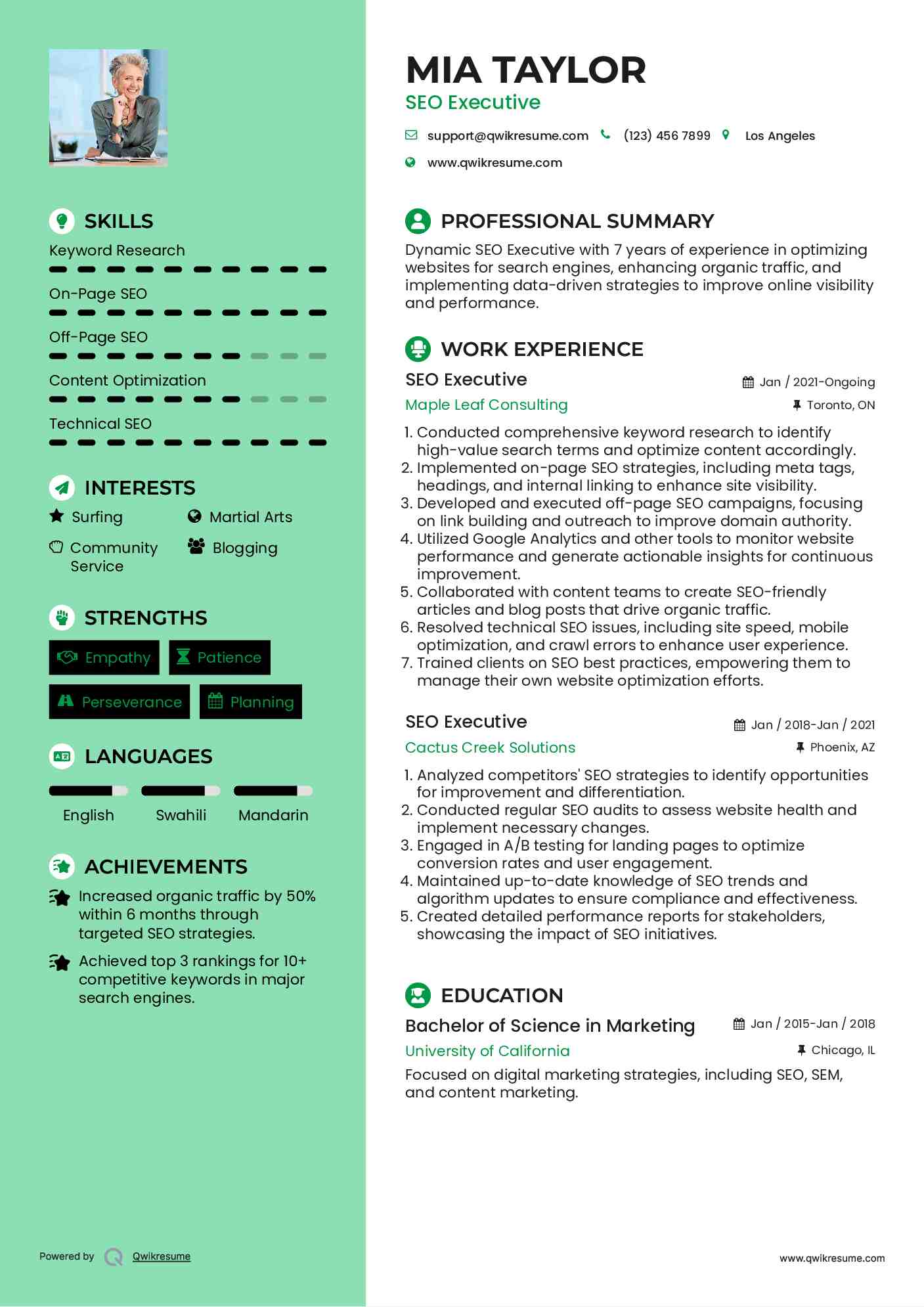 SEO Executive Resume Model