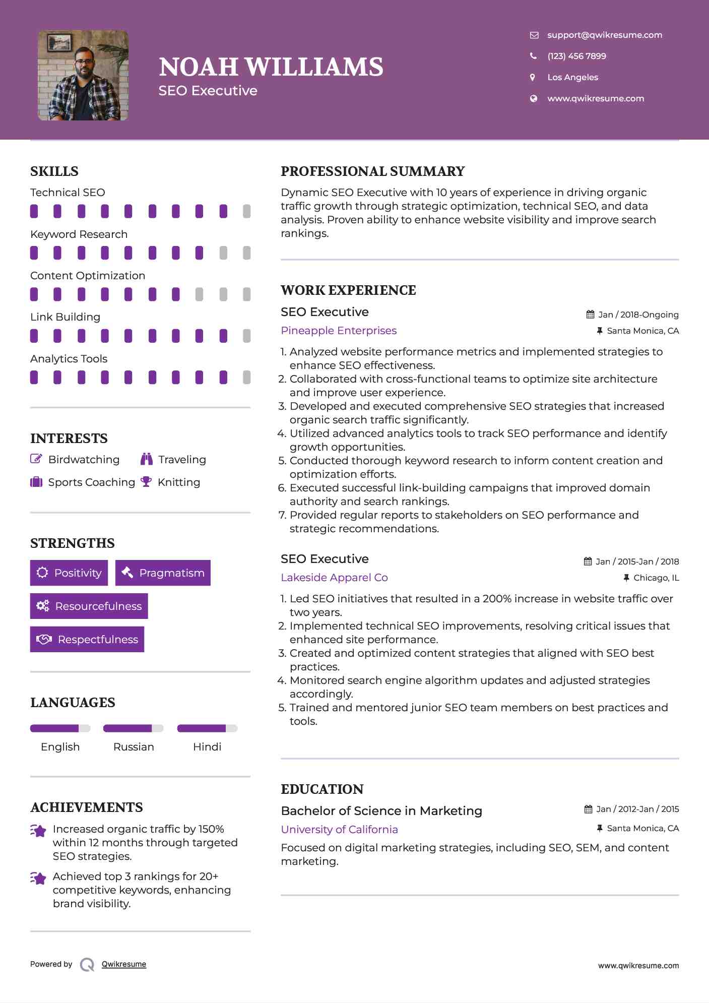 SEO Executive Resume Template