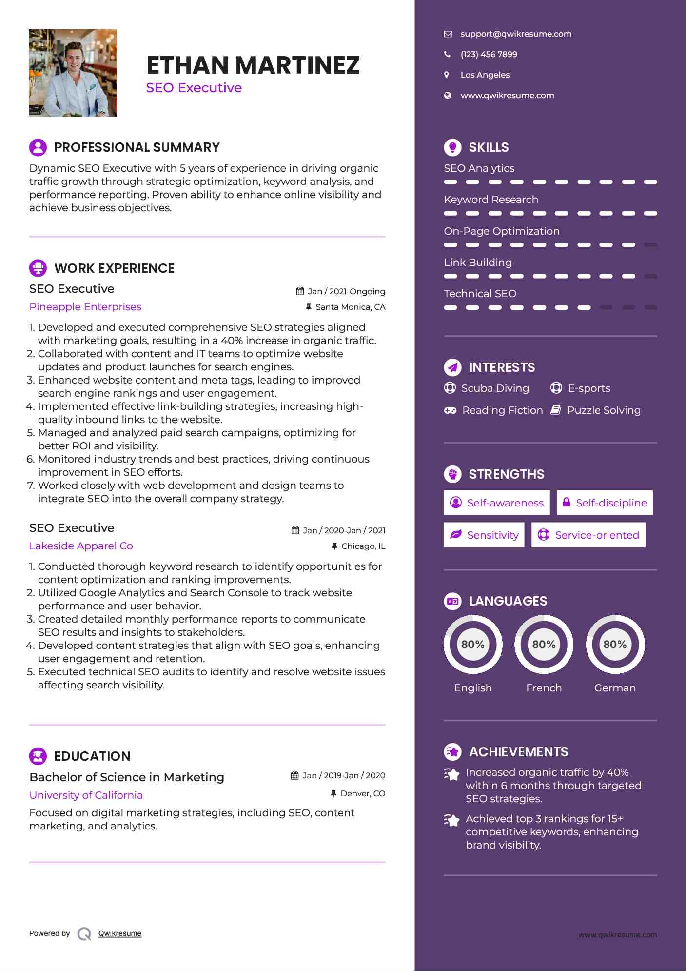 SEO Executive Resume Example