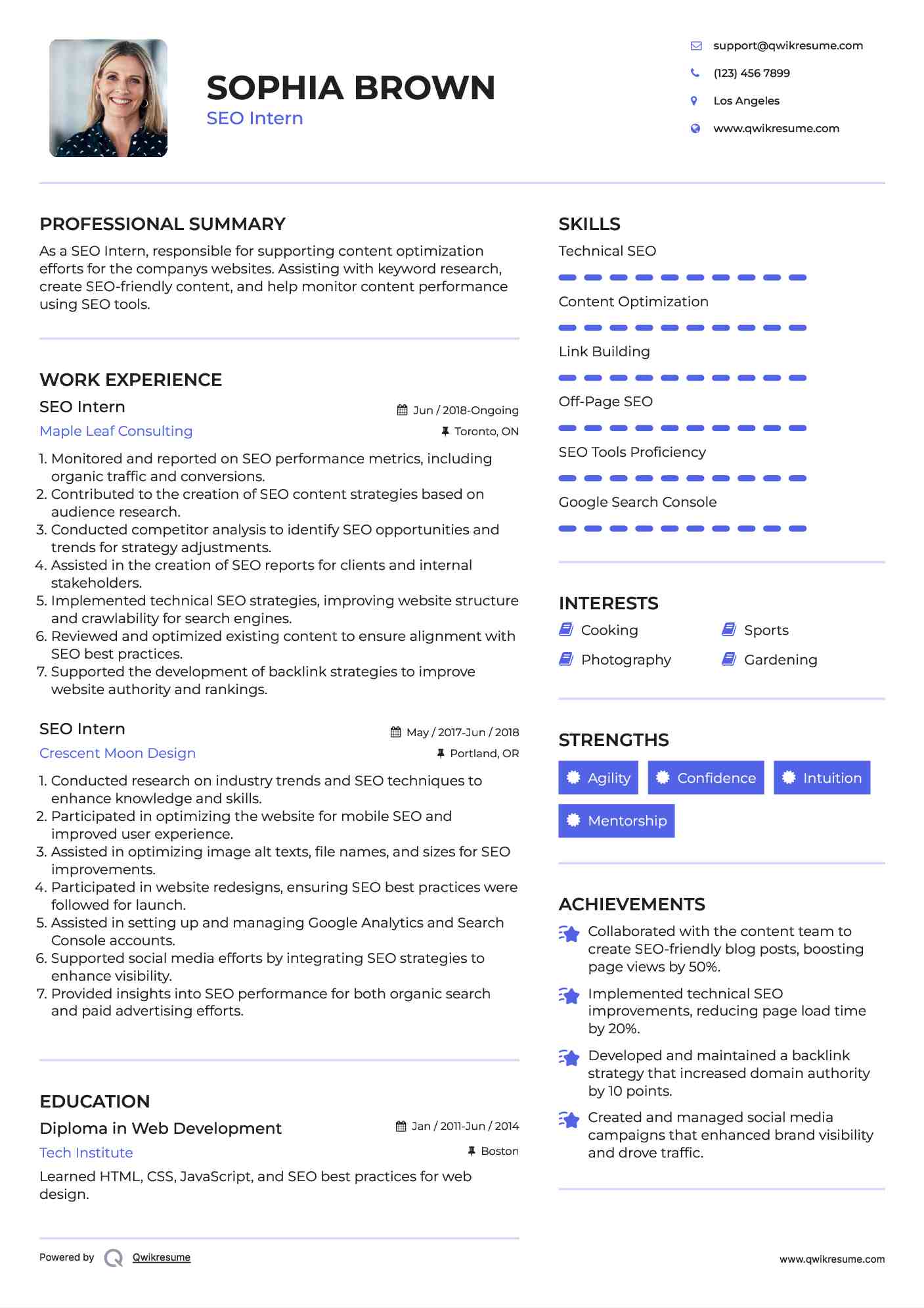 SEO Intern Resume Template