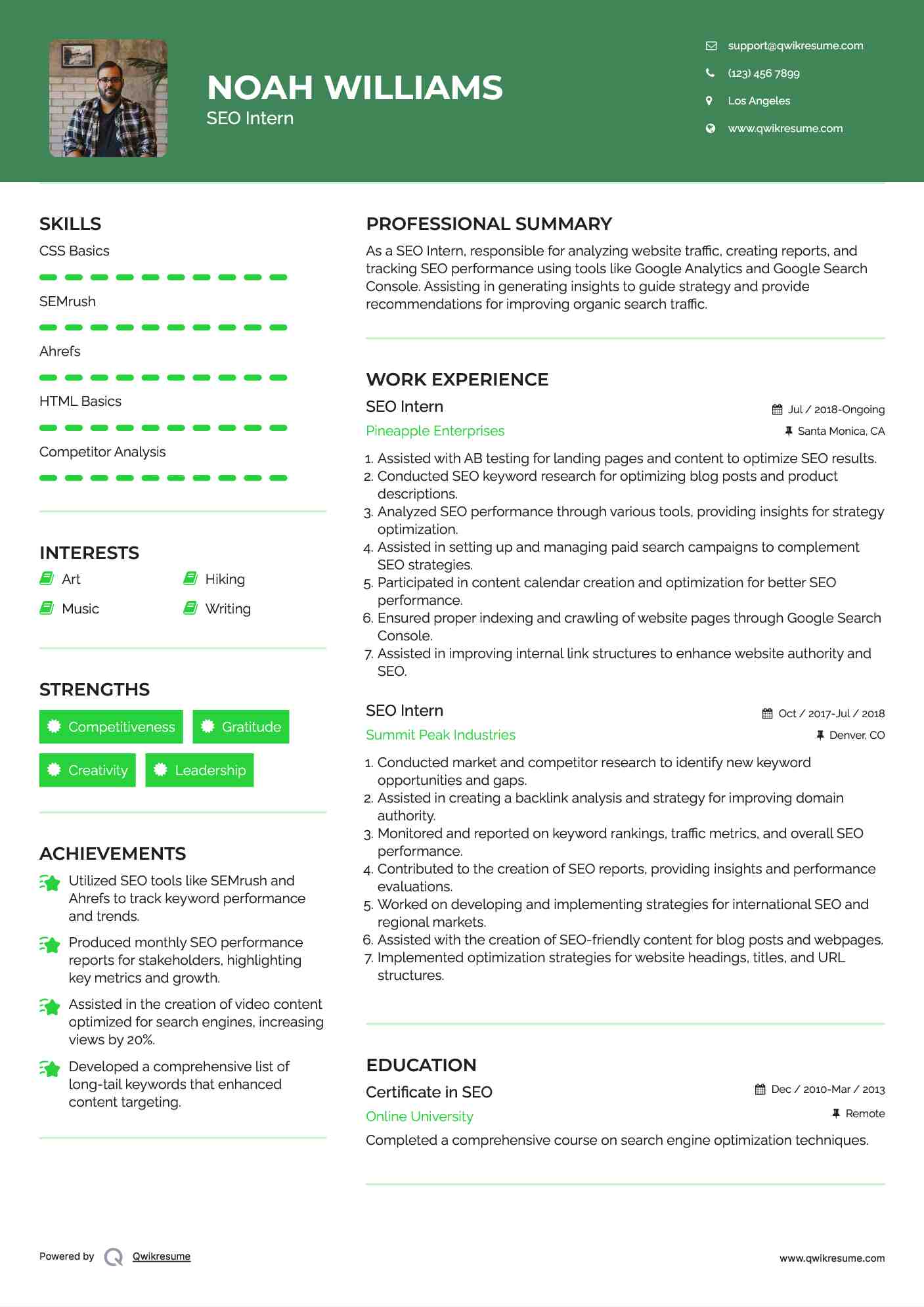 SEO Intern Resume Template