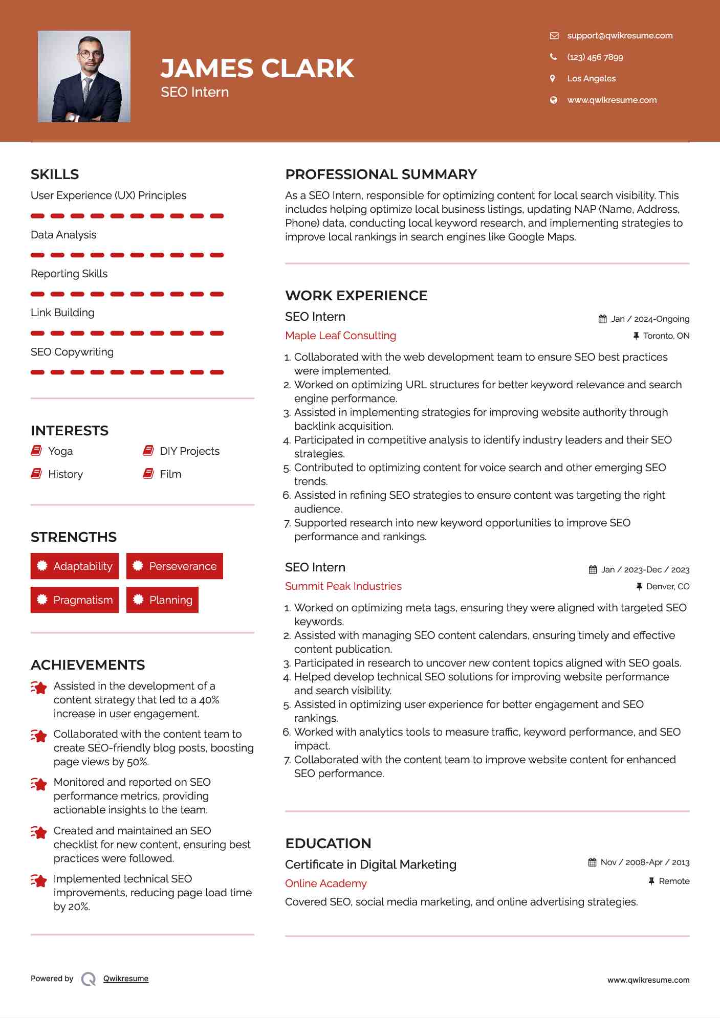 SEO Intern Resume Model