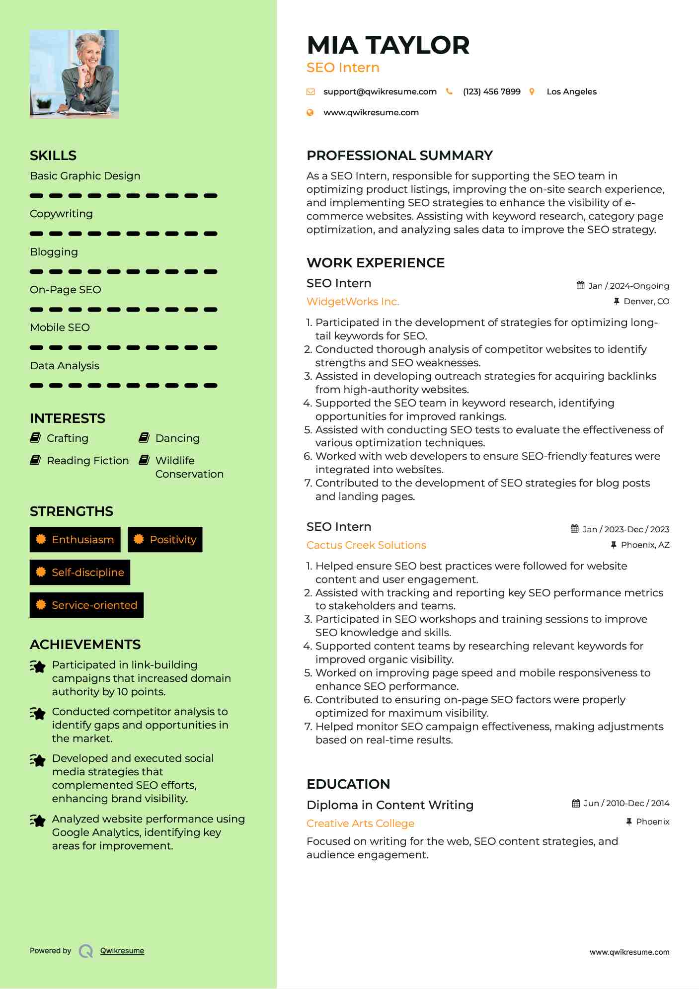 SEO Intern Resume Sample