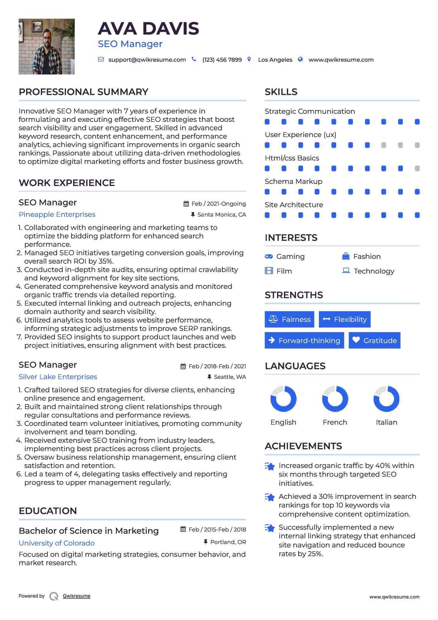 SEO Manager Resume Format