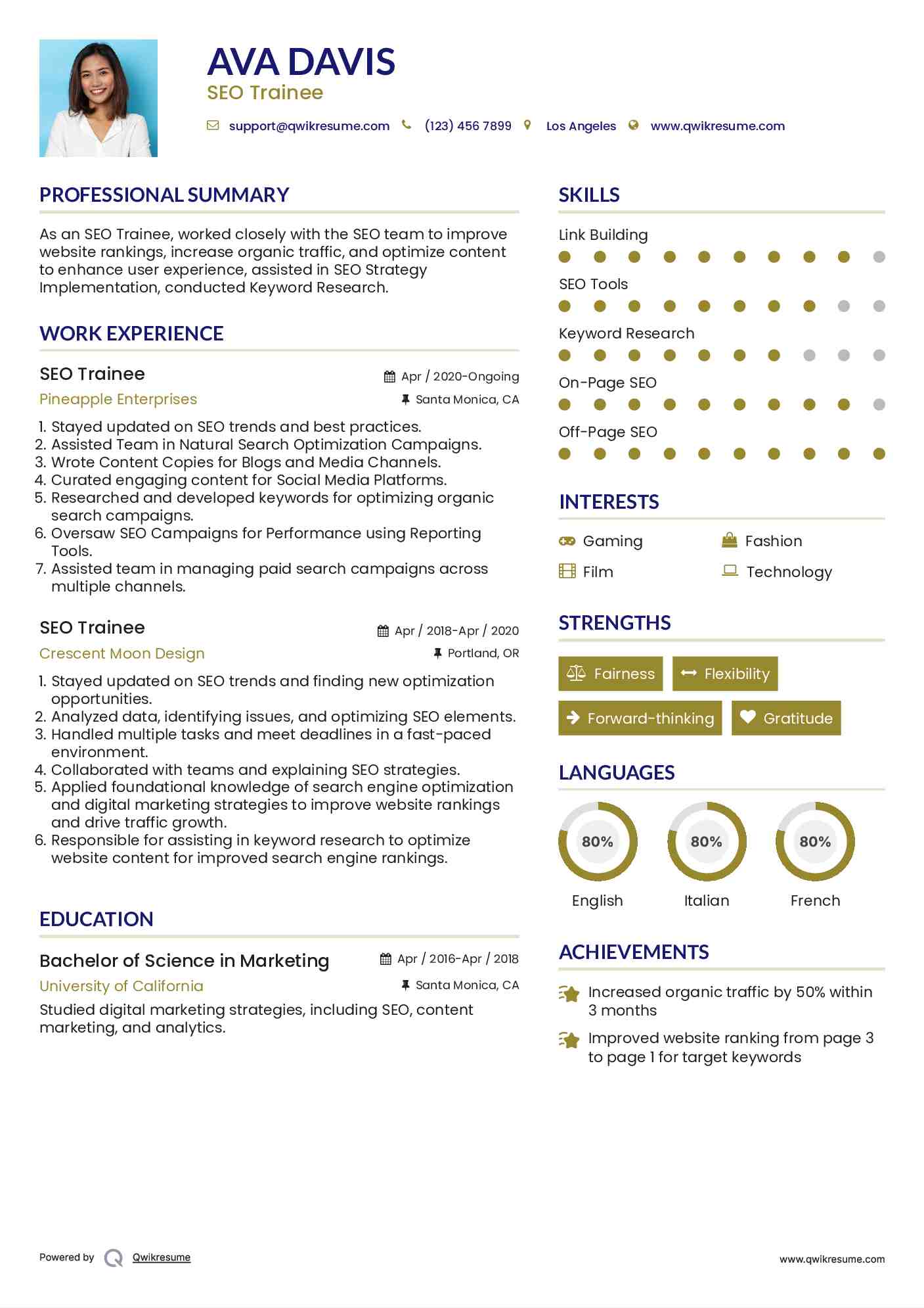 SEO Trainee Resume Model