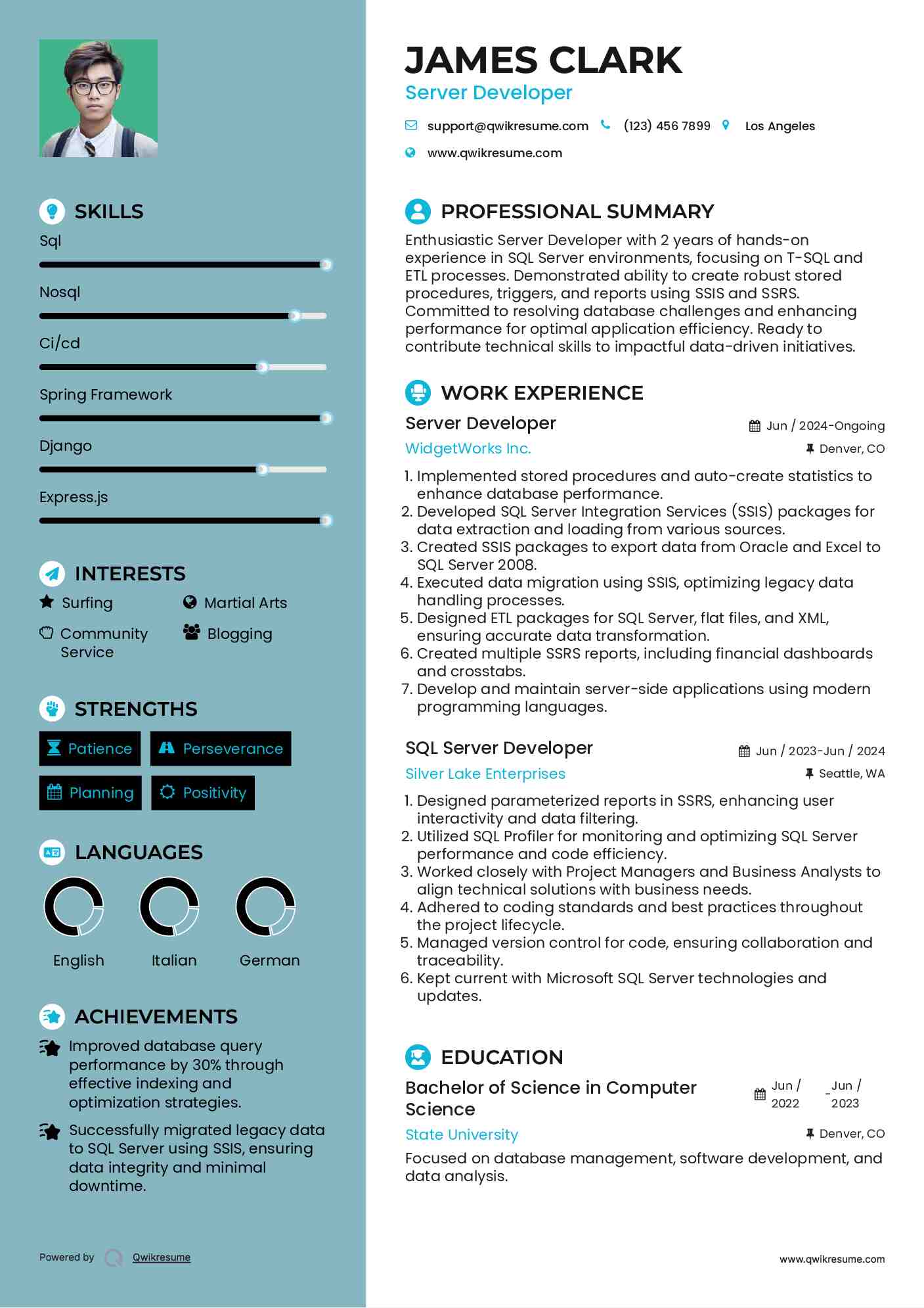 Server Developer Resume Sample