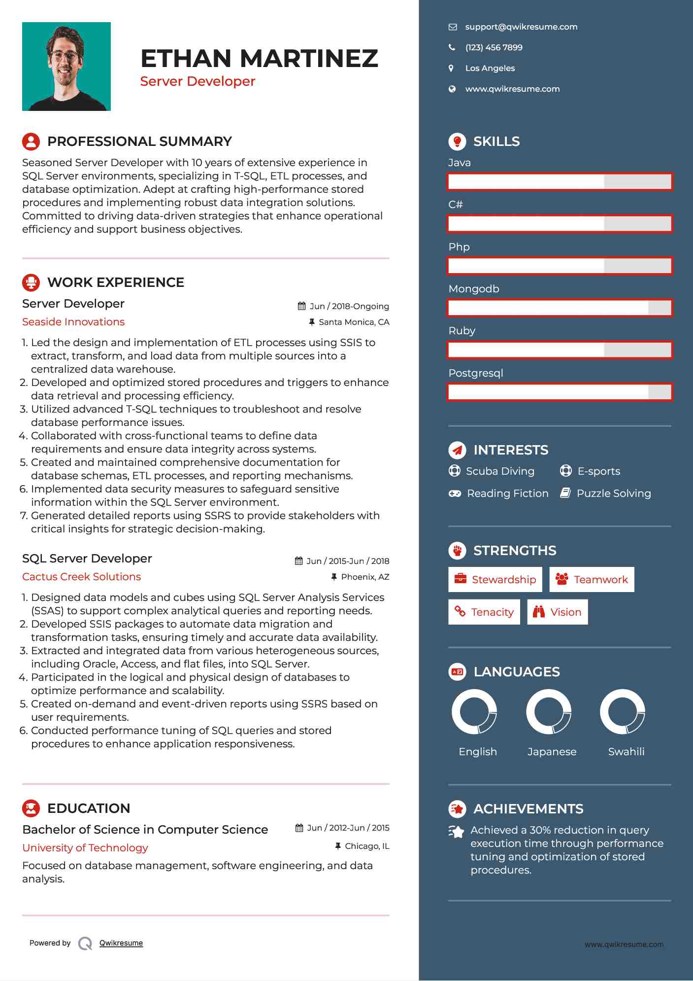 Server Developer Resume Format