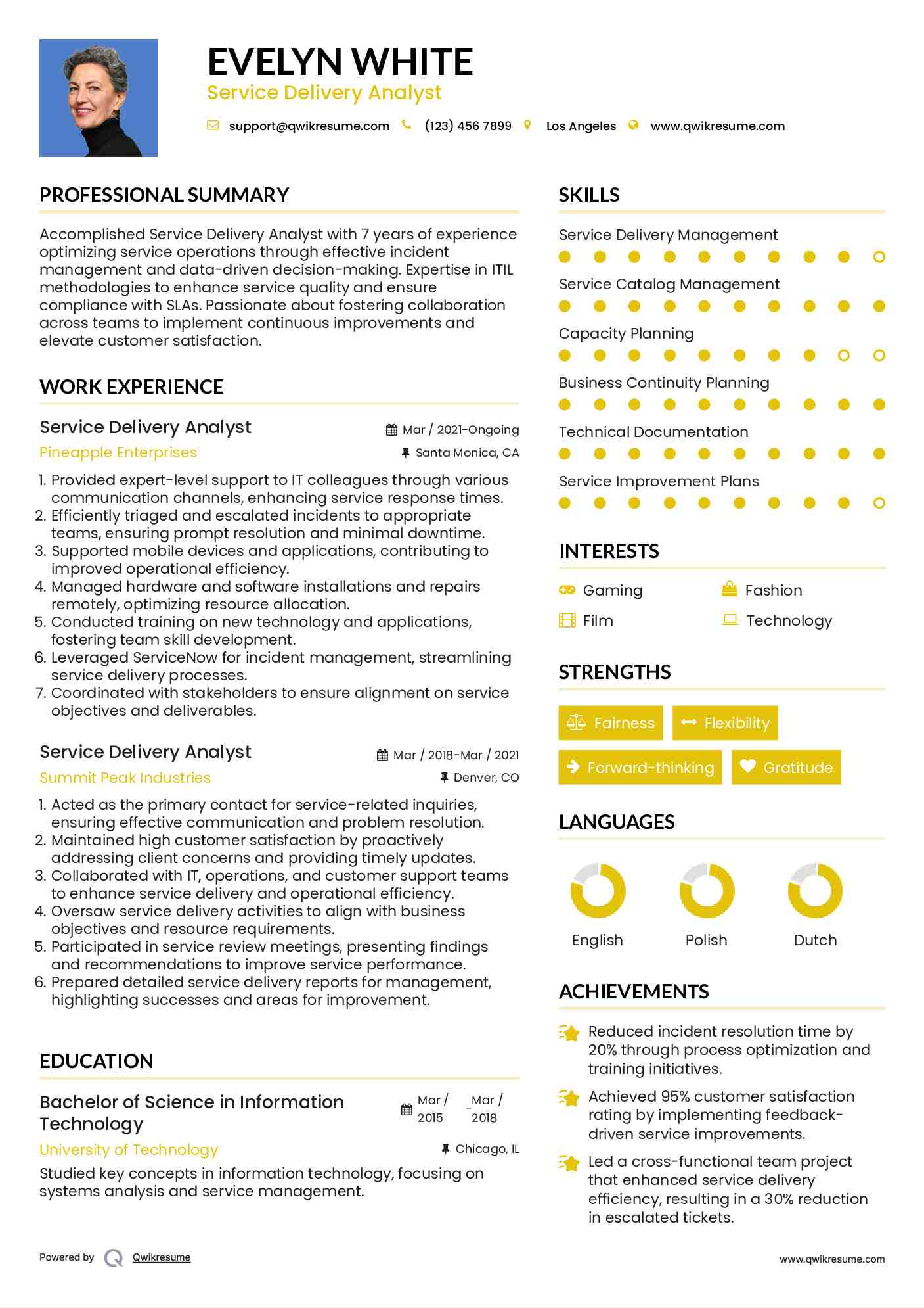 Service Delivery Analyst Resume Model