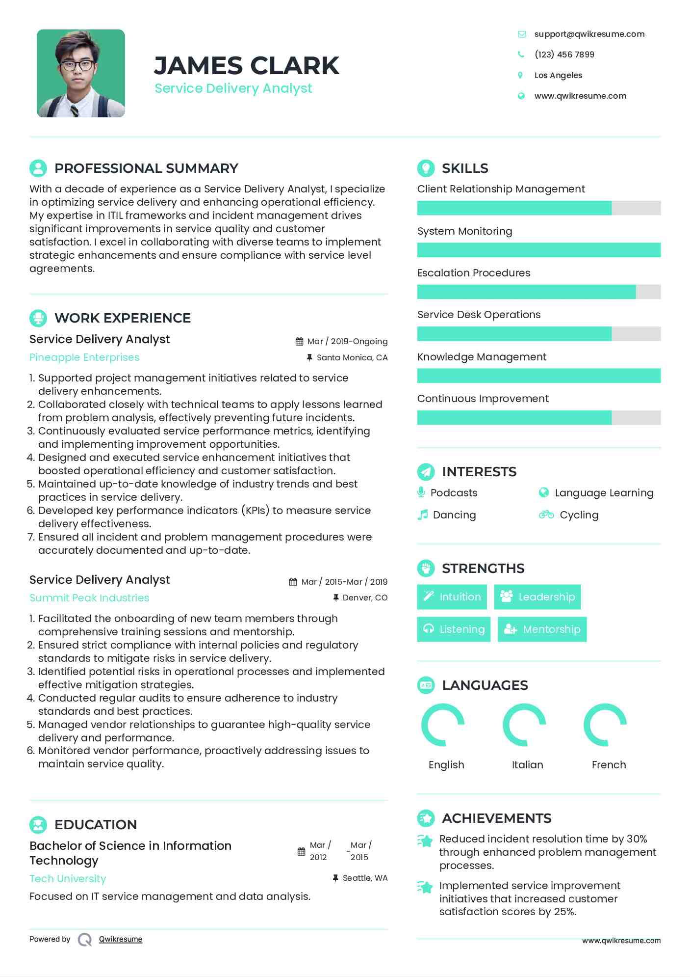 Service Delivery Analyst Resume Model