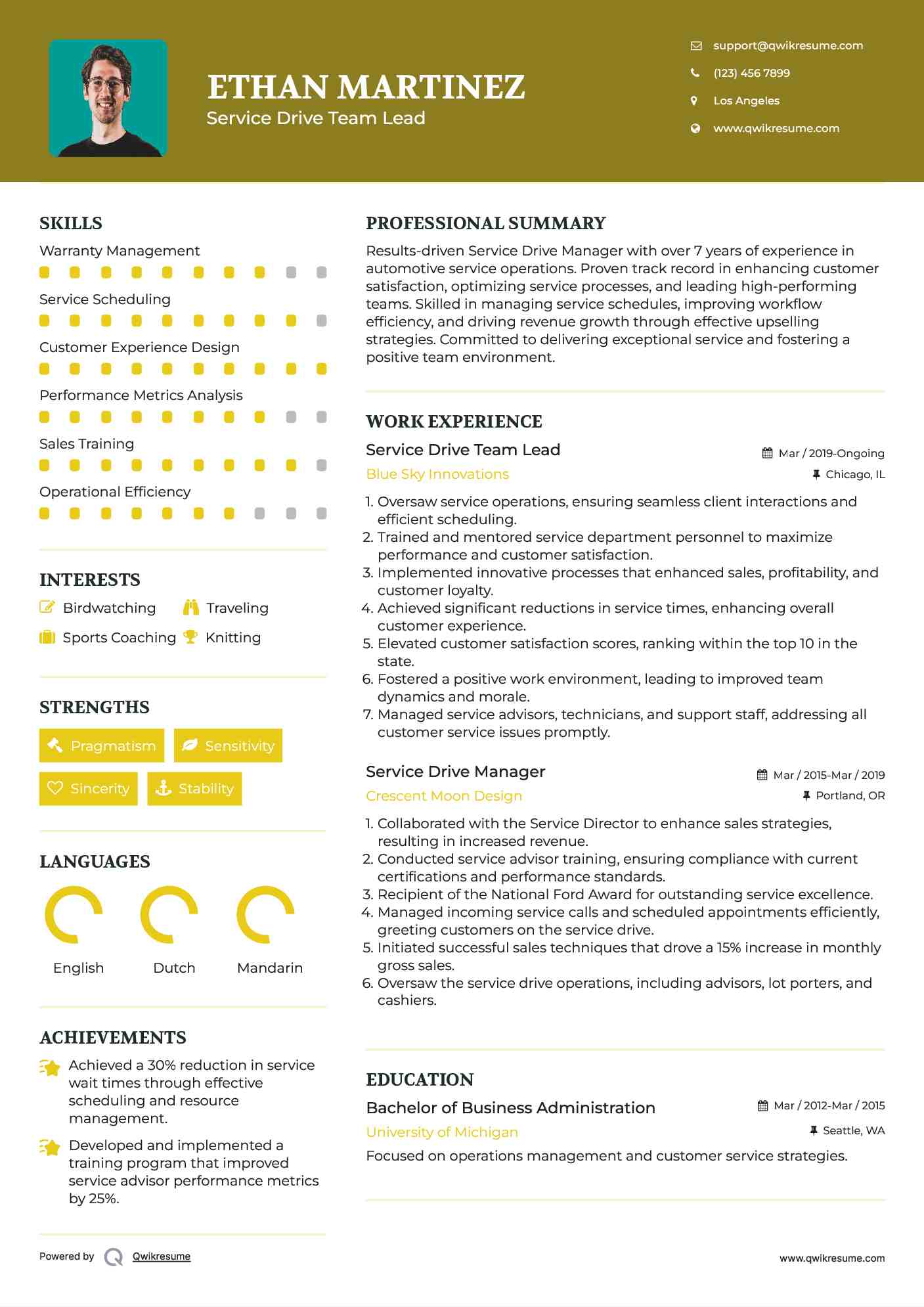 Service Drive Team Lead Resume Template