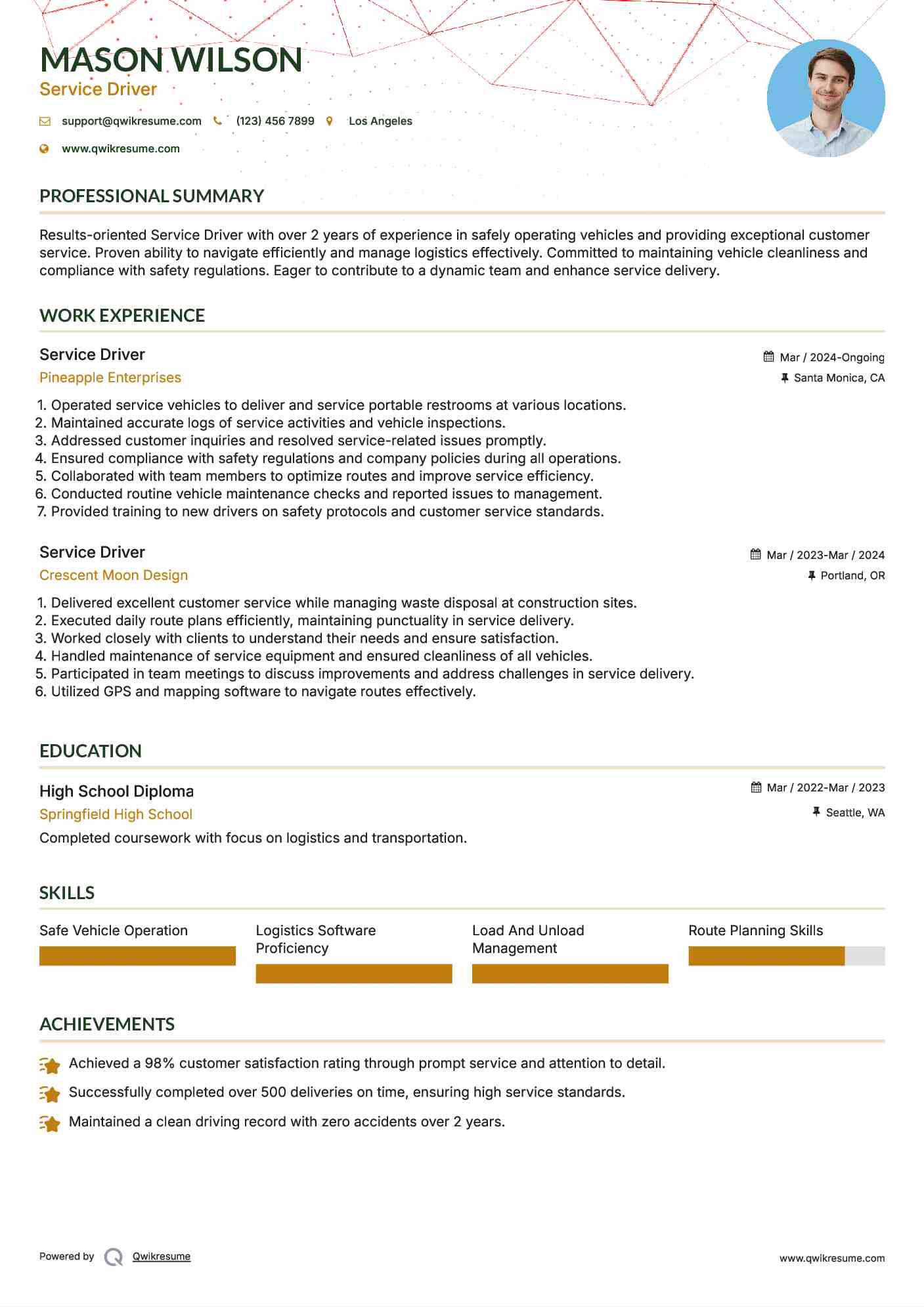 Service Driver Resume Example