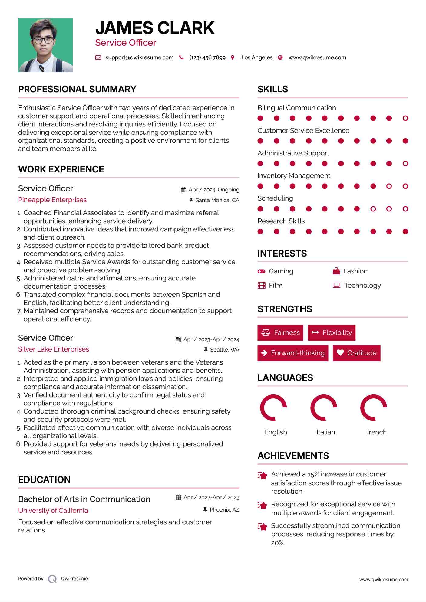 Service Officer Resume Sample