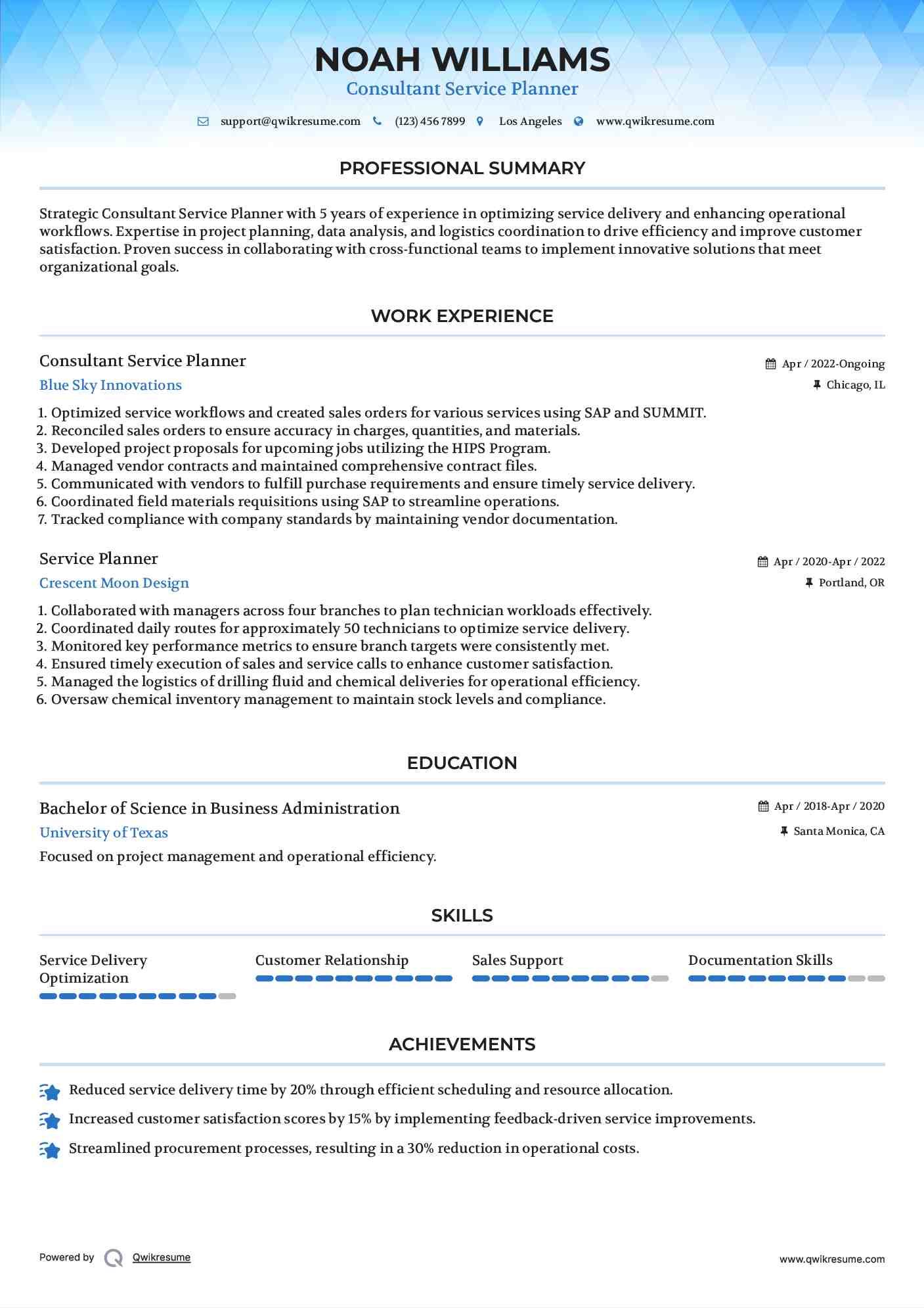 Consultant Service Planner Resume Template