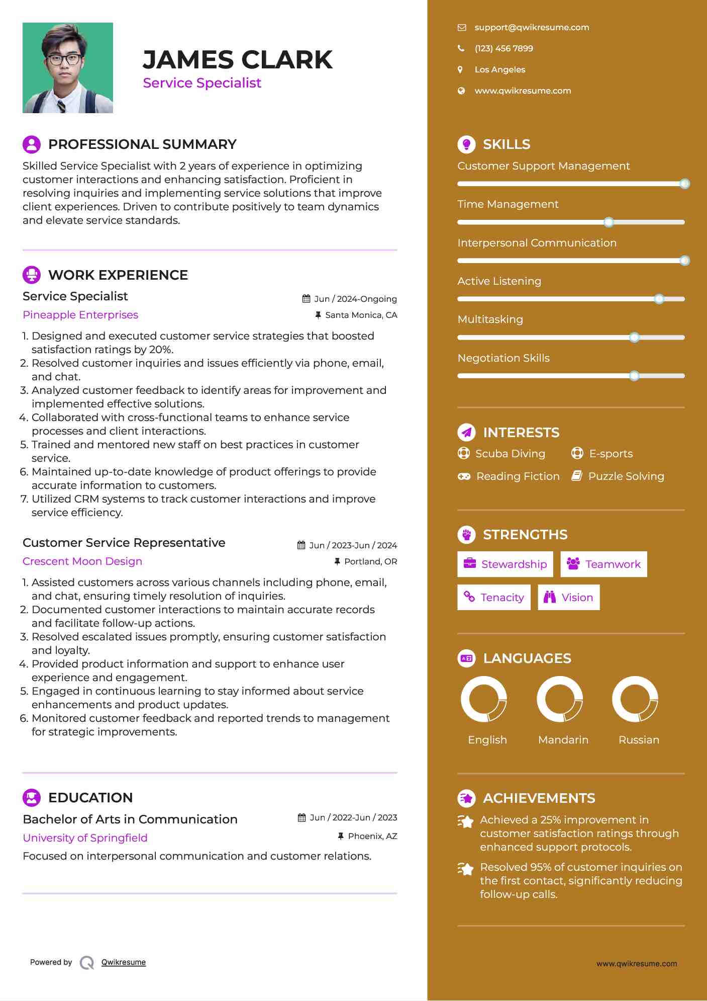 Service Specialist Resume Model