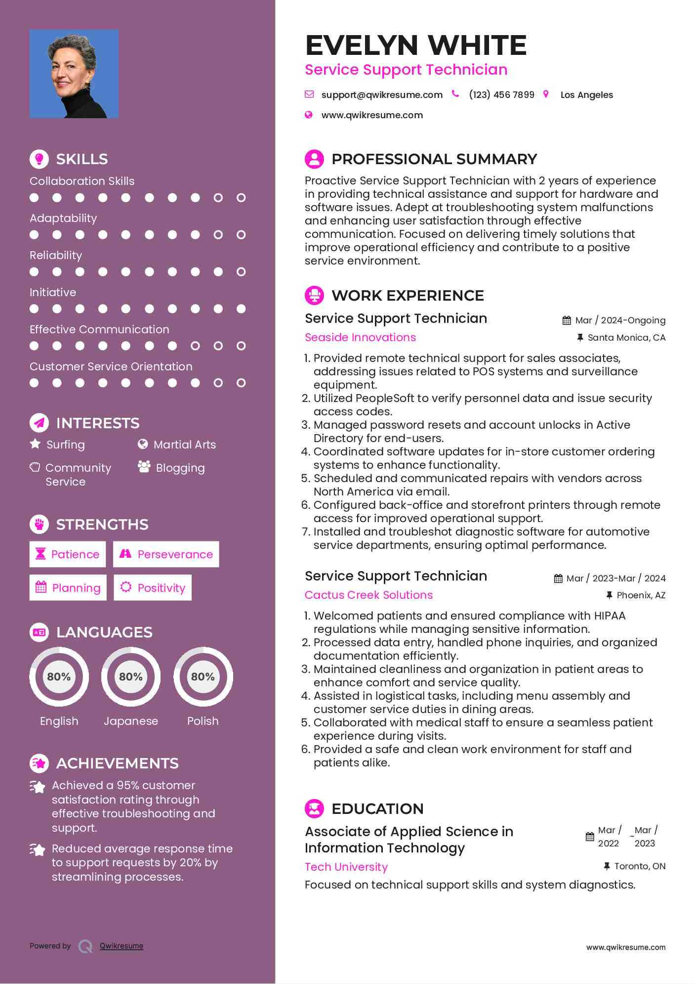 Service Support Technician Resume Example