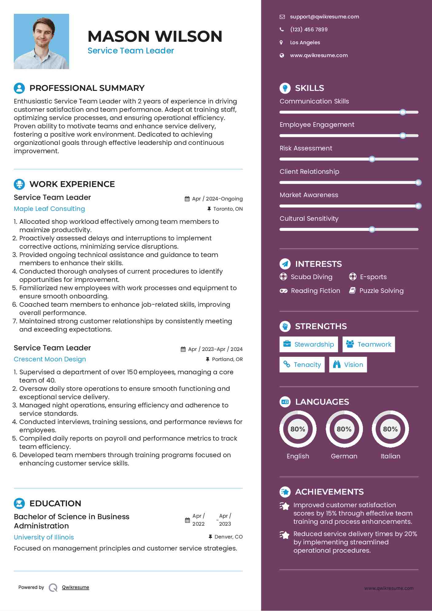 Service Team Leader Resume Template