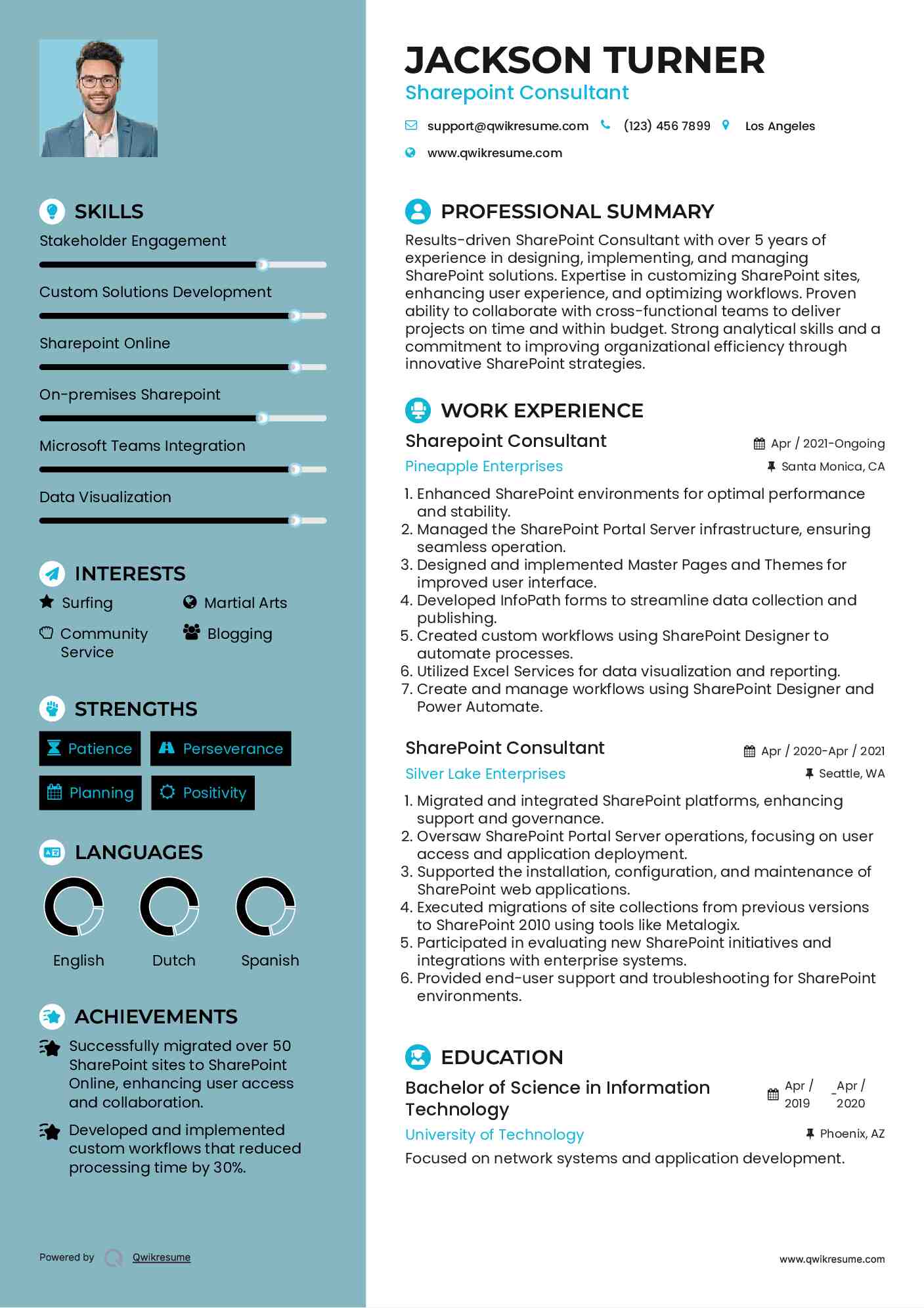 Sharepoint Consultant Resume Template