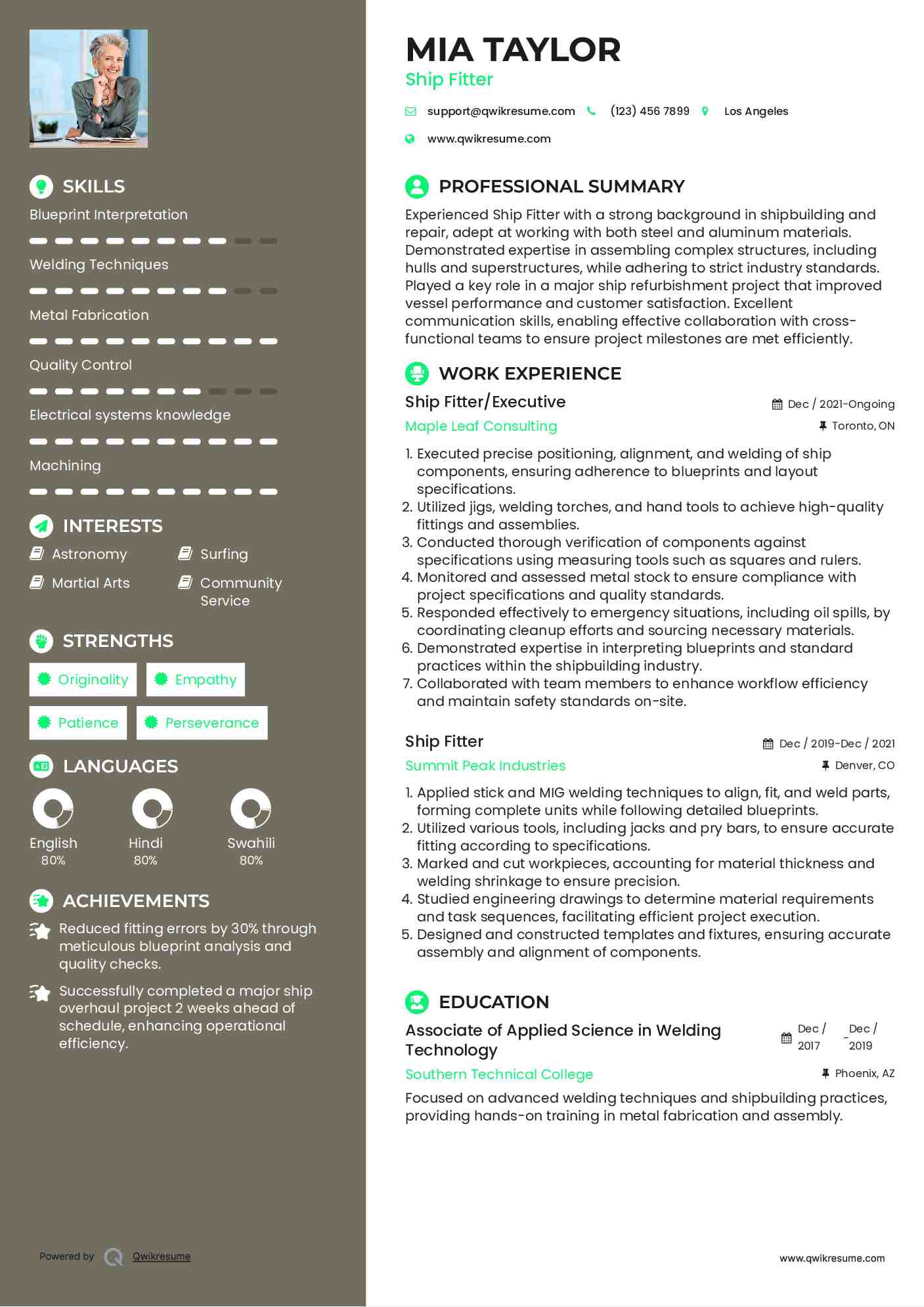 Ship Fitter/Executive Resume Model