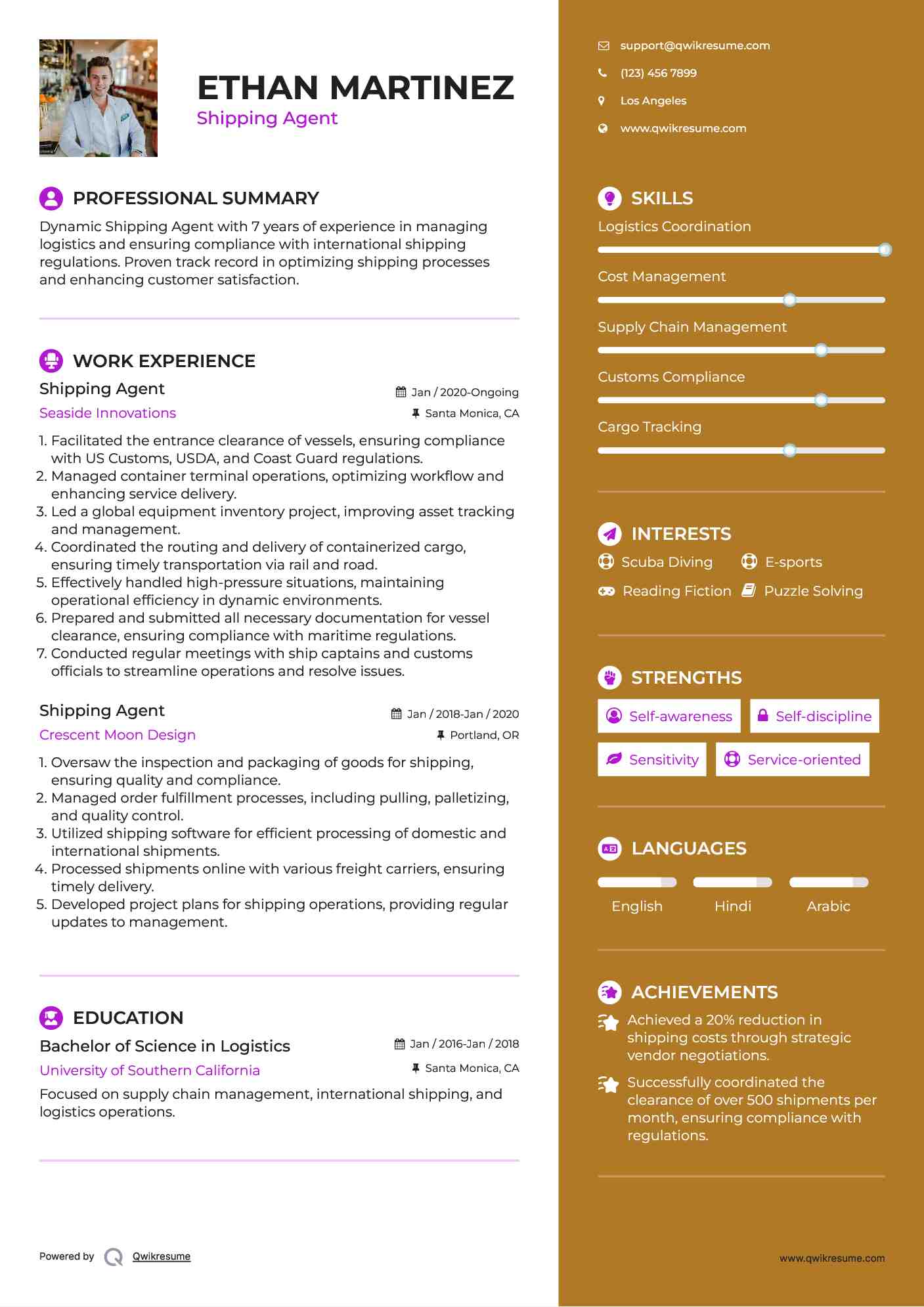 Shipping Agent Resume Example