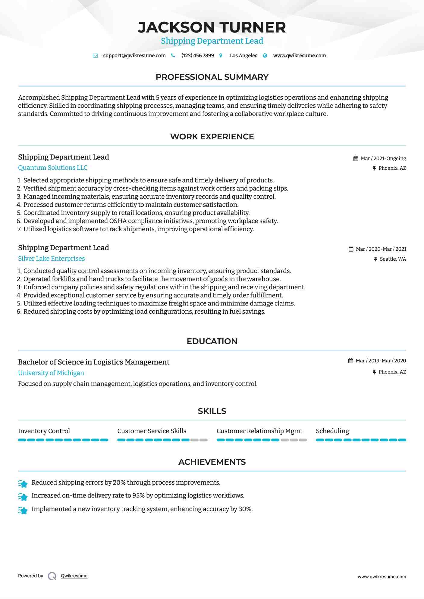 Shipping Department Lead Resume Example