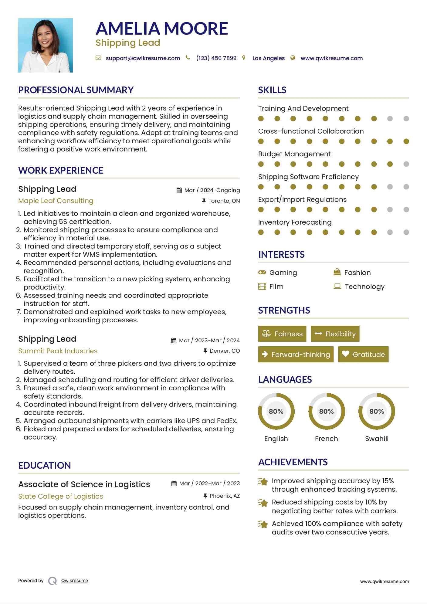 Shipping Lead Resume Model